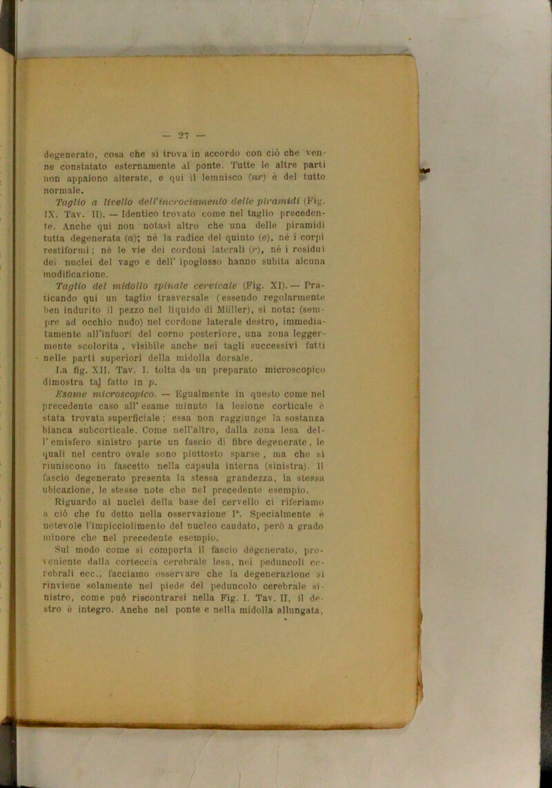 degenerato, cosa che si trova in accordo con ciò che ven- ne constatato esternamente al ponte. Tutte le altre parti non appaiono alterate, e qui il lemnisco {nr) è del tutto normale. Taglio a livello dellincrociamento delle piramidi (Fig. IX. Tav. II), — Identico trovato come nel taglio preceden- te. Anche qui non notasi altro che una delle piramidi tutta degenerata (a); nè la radice del quinto (e), nè i corpi restiformi ; nè le vie dei cordoni laterali (/•), nè i residui dei nuclei del vago e dell’ ipoglosso hanno subita alcuna modificazione. Taglio del midollo spinale cervicale (Fig. XI).— Pra- ticando qui un taglio trasversale (essendo regolarmente ben indurito il pezzo nel liquido di Miiller), si nota: (seni- jire ad occhio nudo) nel cordone laterale destro, immedia- tamente all’infuori del corno posteriore, una zona legger- mente scolorita , visibile anche nei tagli successivi fatti nelle parti superiori della midolla dorsale. La fig. XII. Tav. 1. tolta da un preparato microscopico dimostra taj fatto in p. Esame microscopico. — Egualmente in questo come nel precedente caso all’ esame minuto la lesione corticale è stata trovata superficiale ; essa non raggiunge la sostanza bianca subcorticale. Come nell’altro, dalla zona lesa del- r emisfero sinistro parte un fascio di fibre degenerate, le (juali nel centro ovale sono piuttosto sparse , ma che si riuniscono in fascette nella capsula interna (sinistra). 11 fascio degenerato presenta la stessa grandezza, la stessa ubicazione, le stesse note che nel precedente esempio. Riguardo ai nuclei della base del cervello ci riferiamo a ciò che fu detto nella osservazione P. Specialmente è notevole rimpicciolimento del nucleo caudato, però a grado minore che nel precedente esempio. Sul modo come si comporta il fascio degenerato, pro- veniente dalla corteccia cerebrale lesa, nei peduncoli ce- rebrali ecc., facciamo osservare che la degenerazione si rinviene solamente nel piede del peduncolo cerebrale si- nistro, come può riscontrarsi nella Fig. I. Tav. II, il de- stro è integro. Anche nel ponte e nella midolla allungata.