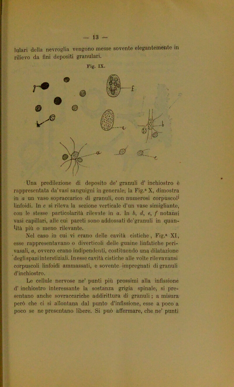 lulari della nevroglia vengono messe sovente elegantemente in rilievo da fini depositi granulari. Fig. IX. Una predilezione di deposito de’ granuli d’ inchiostro è rappresentata da’vasi sanguigni in generale; la Fig.“ X, dimostra in a un vaso sopraccarico di granuli, con numerosi corpuscoli linfoidi. In c si rileva la sezione verticale d’un vase simigliante, con le stesse particolarità rilevate in a. In h, d, e, f notansi vasi capillari, alle cui pareti sono addossati de’granuli in quan- tità più o meno rilevante. Nel caso in cui vi erano delle cavità cistiche, Fig.® XI, esse rappresentavano o diverticoli delle guaine linfatiche peri- vasali, a, ovvero erano indipendenti, costituendo una dilatazione degli spazi interstiziali. In esse cavità cistiche alle volte rilevavansi corpuscoli linfoidi ammassati, e sovente impregnati di granuli d’inchiostro. Le cellule nervose ne’ punti più prossimi alla infissione d’ inchiostro interessante la sostanza grigia spinale, si pre- sentano anche sovraccariche addirittura di granuli ; a misura però che ci si allontana dal punto d’infissione, esse a poco a poco se ne presentano libere. Si può affermare, che ne’ punti