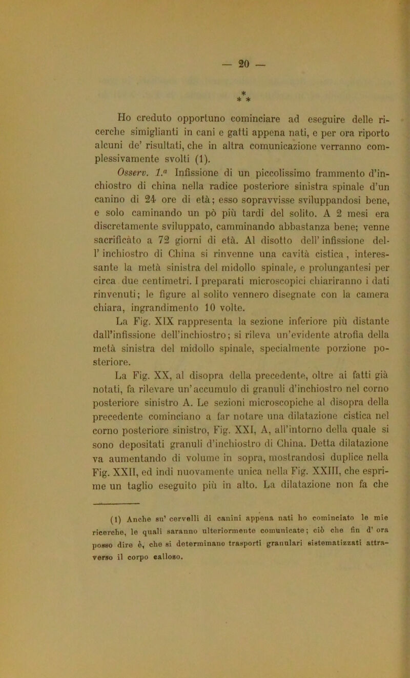 ♦ * * Ho creduto opportuno cominciare ad eseguire delle ri- cerclie simiglianti in cani e gatti appena nati, e per ora riporto alcuni de’ risultati, che in altra comunicazione verranno com- plessivamente svolti (1). Osserv. 1. Infissione di un piccolissimo frammento d’in- chiostro di china nella radice posteriore sinistra spinale d’un canino di 24 ore di età; esso sopravvisse sviluppandosi bene, e solo caminando un pò più tardi del solito. A 2 mesi era discretamente sviluppato, camminando abbastanza bene; venne sacrificato a 72 giorni di età. Al disotto dell’ infissione del- 1’ inchiostro di China si rinvenne una cavità cistica, interes- sante la metà sinistra del midollo spinale, e prolungantesi per circa due centimetri. I preparati microscopici chiariranno i dati rinvenuti; le figure al solito vennero disegnate con la camera chiara, ingrandimento 10 volte. La Fig. XIX rappresenta la sezione inferiore più distante dall’infissione deH’inchiostro; si rileva un’evidente atrofia della metà sinistra del midollo spinale, specialmente porzione po- steriore. La Fig. XX, al disopra della precedente, oltre ai fatti già notati, fa rilevare un’accumulo di granuli d’inchiostro nel corno posteriore sinistro A. Le sezioni microscopiche al disopra della precedente cominciano a far notare una dilatazione cistica nel corno posteriore sinistro, Fig. XXI, A, all’intorno della quale si sono depositati granuli d’inchiostro di China. Detta dilatazione va aumentando di volume in sopra, mostrandosi duplice nella Fig. XXII, ed indi nuovamente unica nella Fig. XXIll, che espri- me un taglio eseguito più in alto. La dilatazione non fa che (1) Anche su’ cervelli di canini appena nati ho cominciato le mie ricerche, le quali saranno ulteriormente comunicate ; ciò che fin d' ora posso dire è, che si determinano trasporti granulari sistematizzati attra- verso il corpo calloso.