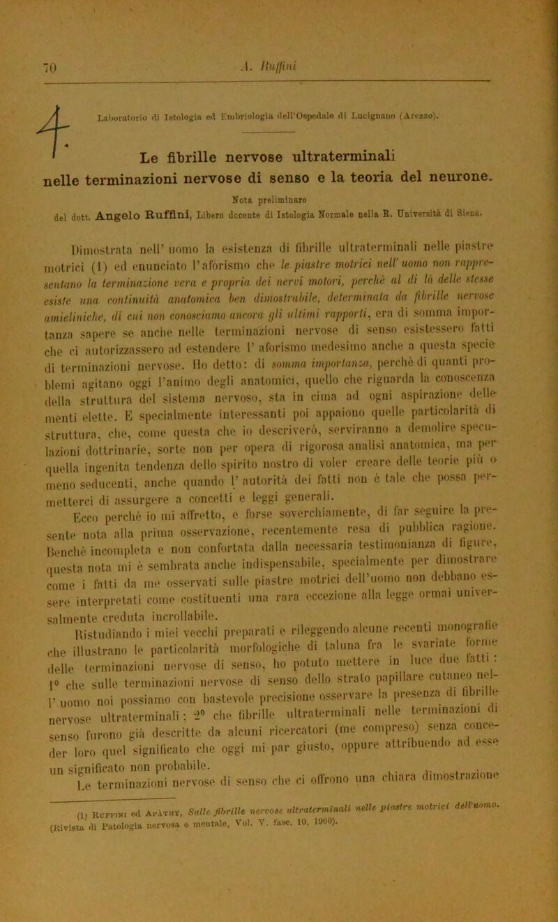 70 .1. HuffUd Ijjboratorio dì Istologìa e«l Kiiibriologia dell’Osi>e(ìiile dì Lncignann (Arezzo). Le fibrille nervose ultraterminali nelle terminazioni nervose di senso e la teoria del neurone, Nota preliminare del dott, Angelo Rufflni, Libero decente di Istologia Normale nella R. Università di Siena. Dimostrata nell’uomo la esistenza ili fibrille ultraterminali nelle piastre- motrici (1) etl enunciato ralbrismo die le piastre motrici nell’uomo non rappre- sentano la terminazione vera e propria dei nervi motori, perchè al di là delle stesse esiste una continuità anatomica ben dimostrabile, determinata da fibrille nervose amieliniche, di cui non conosciamo ancora fjli ultimi rapporti^ era di somma impor- tanza sapere se anciie indie terminazioni nervose di senso esistessero latD che d autorizzassero ad estemlere 1’ aforismo medesimo anche a questa specie di terminazioni nervose. Ho detto: di somma importanza, perchè di quanti pro- blemi agitano oggi l’animo degli anatomici, quello che riguarda la conoscenza della struttura del sistema nervoso, sta in cima ad ogni aspirazione delle menti elette. E specialmente interessanti poi appaiono quelle particolarità di struttura, che, come questa che io descriverò, serviranno a demolire specu- lazioni dottrinarie, sorte non per opera di rigorosa analisi anatomica, ma per quella im^enita tendenza dello spirito nostro di voler creare delle teorie piu o meno seducenti, anche quando l’autorità dei fatti non è tale che possa per- metterci di assurgere a concetti e leggi generali. Ecco perchè io mi affretto, e forse soverchiamente, di far seguire la pre- sente nota alla prima os.servazione, recentemente resa di pubblica ragione. Henchè incompleta e non confortata dalla necessaria testimonianza di figure, nuesta nota mi è sembrata anche indispensabile, specialmente per dimostrare come i fatti da me osservati sulle piastre motrici dell’uomo non debbano es- sere interpretati come costituenti una rara eccezione alla legge ormai univer- salmente creduta incrollabile. . Uistudiando i miei vecchi preparati e rileggendo alcune recenti monog^a u che illustrano le particolarità morfologiche di taluna fra le svariate orme delle terminazioni nervose di senso, ho potuto mettere in luce i uc a i . 1° che sulle terminazioni nervose di senso dello strato papillaie cutaneo ne l’ uomo noi possiamo con bastevole precisione osservare la presenza di tibrille nervose ultraterminali ; 'i® che fibrille ultraterminali nelle terminazioni di senso furono già descritte da alcuni ricercatori (me compreso) senza cou«- der loro quel significato che oggi mi par giusto, oppure attribuemo a esse 11T1 «i^nificato non probabile. ' u t..rmin(uioni ne,-vose <li senso die ci oir,-ono nna cl„an, dnnostrasione (1, K«re.«. «I AcAt,,,, SMjUrm ulIralermMI mU, molrici d.,,'.»»».