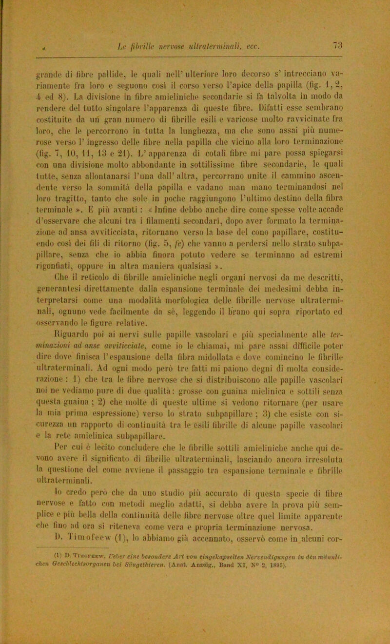 grniKle di fibre pallide, le quali nell’ ulteriore loro decorso s’ intrecciano va- riamente fra loro e seguono cosi il corso verso l’apice della papilla (fig. 1,2, •t ed H). La divisione in fibre amieliniche secondarie si fii talvolta in modo da rendere del tutto singolare l’apparenza di queste fibre. Difatti esse sembrano costituite da ufi gran numero di fibrille esili e varicose molto ravvicinate fra loro, die le percorrono in tutta la lunghezza, ma che sono assai più nume- rose verso r ingresso delle fibre nella papilla che vicino alla loro terminazione (fig. 7, 10, 11, 13 e 21). L’apparenza di cotali fibre mi pare possa spiegarsi con una divisione molto abbondante in sottilissime fibre secondarie, le (juali tutte, senza allontanarsi Duna dall’altra, percorrano unite il cammino ascen- dente verso la .sommità della papilla e vadano man mano terminandosi nel loro tragitto, tanto che sole in poche raggiungono l’ultimo destino della fibra terminale ». K più avanti : « Infine debbo anche dire come spesse volte accade d'osservare che alcuni tra i filamenti secondari, dopo aver formato la termina- zione ad ansa avviticciata, ritornano verso la base del cono papillare, costitu- endo così dei fili di ritorno (fig. 5, fe) che vanno a perdersi nello strato subpa- pillare, senza che io abbia finora potuto vedere se terminano ad estremi rigonfiati, oppure in altra maniera qualsiasi ». (die il reticolo di fibrille amieliniche negli organi nervosi da me descritti, generanlesi direttamente dalla espansione terminale dei medesimi debba in- terpretarsi come una modalità morfologica delle fibrille nervose ultratermi- nali, ognuno vede facilmente da sé, leggendo il brano qui sopra riportato ed osservando le figure relative. Higuardo poi ai nervi sulle papille vascolari e più specialmente alle ter- minazioni ad anse avvitkcinle.^ come io le chiamai, mi pare assai difficile poter dire dove finisca l’espansione della fibra midollata e dove comincino le fibrilli* ultraterminali. Ad ogni modo però tre fatti mi jiaiono degni di molta conside- l’azione : 1) che Ira le fibre nervose che si distribuiscono alle, papille vascolari noi ne vediamo pure di due qualità; grosse con guaina mielinica e sottili senza questa guaina ; 2) che molte di queste ultime si vedono ritornare (per usare la mia prima espressione) verso lo strato subpapillare ; 3) che esiste con si- curezza un rapporto di continuità tra le esili fibrille di alcune papille vascolari e la rete amielinica subpapillare. Per cui è lecito concludere che le fibrille sottili amielinicbe anche qui de- vono avere il significato di fibrille ultratorminali, lasciando ancora irresoluta la questione del come avviene il passaggio tra espansione terminale e fibrille ultraterminali. lo credo pero che da uno studio [uù accurato di questa specie di fibre nervose e fatto con metodi meglio adatti, si debba avere la prova più sem- plice e pili bella della continuità delle fibre nervose oltre quel limite apparente che fino ad ora si riteneva come vera e propria terminazione nervosa. D. 1 imofeew (1), lo abbiamo già accennato, osservò come in alcuni cor- ei) D.Timofeew. Ceher eine hesondere Art von eingckapaeìlen Xervendlffungen in dcnmdnnìi- chen Gesclilechlsorganen bei Siiugethieren. (Anni. Anzoig., Band XI, X® 2, 1895).