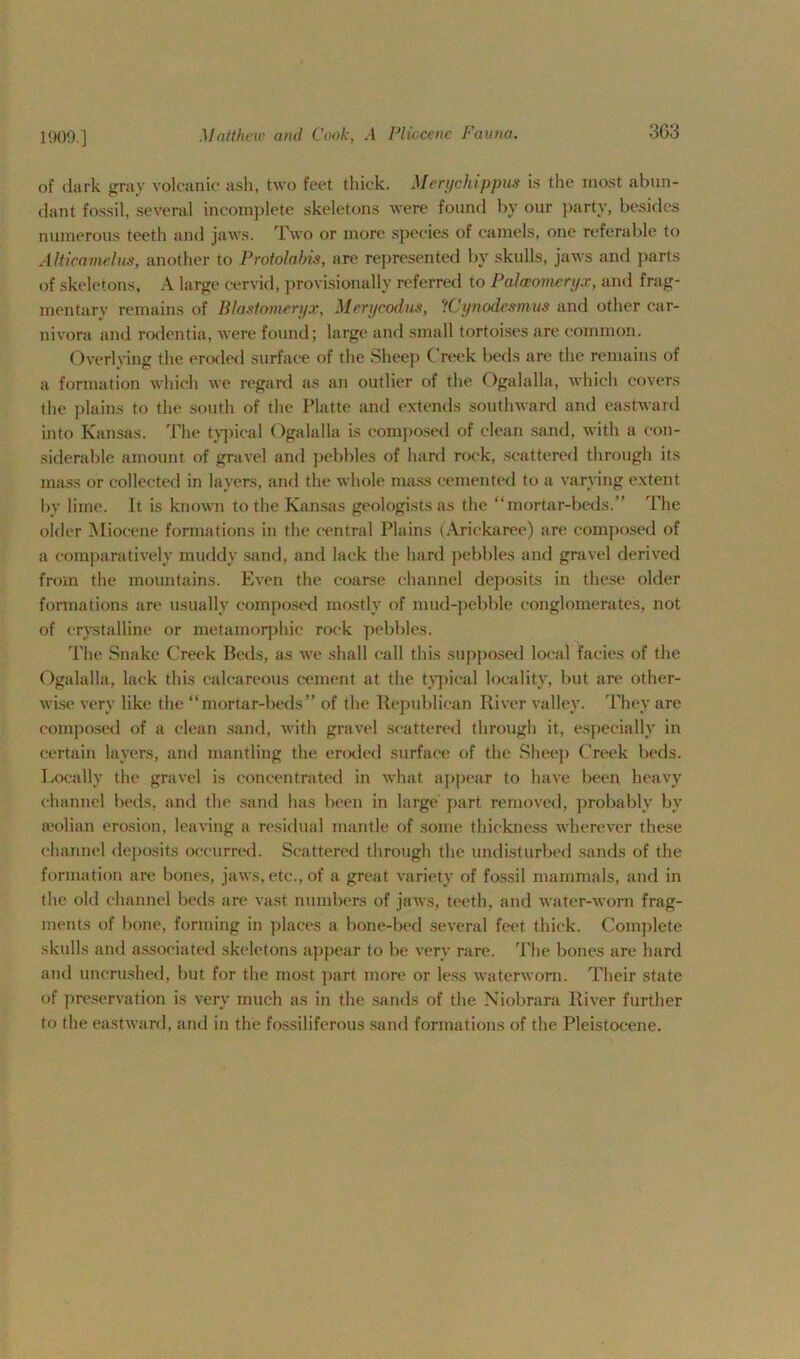 1909.] of dark gray volcanic ash, two feet thick. Merychippua is the most abun- dant fossil, several incomplete skeletons were found by our party, besides numerous teeth and jaws. Two or more species of camels, one referable to Alticamelus, another to Protolabis, are represented by skulls, jaws and parts of skeletons. A large eervid, provisionally referred to Palceomcnjx, and frag- mentary remains of Blastomeryx, Merycodus, ‘iCynodcsmus and other car- nivora and rodentia, were found; large and small tortoises are common. Overlying the eroded surface of the Sheep Creek beds are the remains of a formation which we regard as an outlier of the Ogalalla, which covers the plains to the south of the Platte and extends southward and eastward into Kansas. The typical Ogalalla is composed of clean sand, with a con- siderable amount of gravel and pebbles of hard rock, scattered through its mass or collected in layers, and the whole mass cemented to a varying extent by lime. It is known to the Kansas geologists as the “mortar-beds.” The older Miocene formations in the central Plains (Arickaree) are composed of a comparatively muddy sand, and lack the hard pebbles and gravel derived from the mountains. Even the coarse channel deposits in these older formations are usually composed mostly of mud-pebble conglomerates, not of crystalline or metamorphic rock pebbles. The Snake Creek Beds, as we shall call this supposed local facies of the Ogalalla, lack this calcareous cement at the typical locality, but are other- wise very like the “mortar-beds” of the Republican River valley. They are composed of a clean sand, with gravel scattered through it, especially in certain layers, and mantling the eroded surface of the Sheep Creek beds. Locally the gravel is concentrated in what appear to have been heavy channel beds, and the sand has been in large part removed, probably by seolian erosion, leaving a residual mantle of some thickness wherever these channel deposits occurred. Scattered through the undisturbed sands of the formation are bones, jaws, etc., of a great variety of fossil mammals, and in the old channel beds are vast numbers of jaws, teeth, and water-worn frag- ments of bone, forming in places a bone-bed several feet thick. Complete skulls and associated skeletons appear to be very rare. The bones are hard and uncrushed, but for the most part more or less waterworn. Their state of preservation is very much as in the sands of the Niobrara River further to the eastward, and in the fossiliferous sand formations of the Pleistocene.