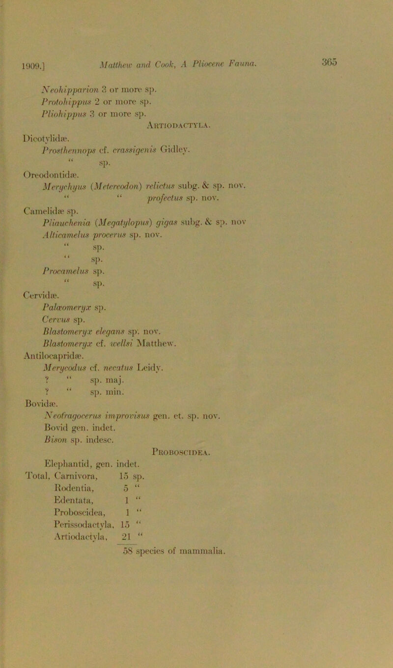 1909.] Neohipparion 3 or more sp. Protohippus 2 or more sp. Pliohippm 3 or more sp. Autiodactvla. Dicotylidse. Prosthennops ef. crass tgenis Gulley. “ sp. Oreodontidae. Merge hi/us (M ctercodon) relicius subg. & sp. nov. “ “ profcctus .sp. nov. Camelidse sp. Pliauchema (Megatylopus) gigas subg. & sp. nov Alticamelus procerus sp. nov. sp. “ SP- Procamel us sp. sp. Cervida?. Paloeomeryx sp. Cereus sp. Blastomeryx elegans sp. nov. Blastomeryx ef. wellsi Matthew. Antilocapridse. Merycodus ef. neentus Leidy. ? “ sp. maj. ? “ sp. min. Bovidse. Neofragocerus improvisus gen. et. sp. nov. Bovid gen. indet. Bison sp. indesc. Proboscidea. Elej)hantid, gen. indet. Total, Carnivora, 15 sp. Rodentia, 5 “ Edentata, 1 “ Proboscidea, 1 “ Perissodaetvla, 15 “ Artiodaetyla, 21 “ 5<S species of mammalia.