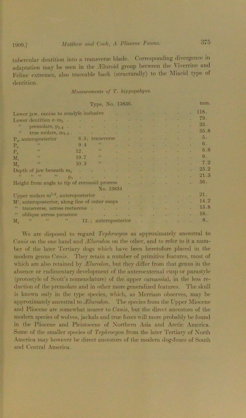 1009.] tubercular dentition into a transverse blade. Corresponding divergence in adaptation may be seen in the .Eluroid group between the Yiverrine and Feline extremes, also traceable back (structurally) to the Miacid type of dentition. Measurements of T. hippopahgus. Type, No. 13836. mm. Lower jaw, canine to condyle inclusive Lower dentition c-m3 . “ premolars, pi_j ... “ true molars, mi-s . 11S. 79. 33. 35.8 p2, anteroposterior 8.5; transverse p» it 9.4 p4 if 12. M, ft 19.7 M, 11 10.3 o. 6. 6.S 9. Depth of jaw beneath m2 . It it it fi n Fs • Height from angle to tip of coronoid process 25.2 21.3 56. No. 13834 Upper molars m1'2, anteroposterior M1, anteroposterior, along line of outer cusps “ transverse, across metacone .... “ oblique across paracone M„ “ “  12.; anteroposterior 21. 14.2 15.8 18. 8. We are disposed to regard Tephrocyon as approximately ancestral to Canis on the one hand and .Flu rod on on the other, and to refer to it a num- ber of the later Tertiary dogs which have been heretofore placed in the modem genus Canis. They retain a number of primitive features, most of which are also retained by JElurodem, but they differ from that genus in the absence or rudimentary development of the anteroexternal cusp or parastvJe (protostyle of Scott’s nomenclature) of the upper camassial, in the less re- duction of the premolars and in other more generalized features. The skull is known only in the type species, which, as Merriam observes, may be approximately ancestral to JElurodon. The species from the Upper Miocene and Pliocene are somewhat nearer to Canis, but the direct ancestors of the modern species of wolves, jackals and true foxes will more probably be found in the Pliocene and Pleistocene of Northern Asia and Arctic America. Some of the smaller species of Tephrocyon from the' later Tertiary of North America may however be direct ancestors of the modern dog-foxes of South and Central America.