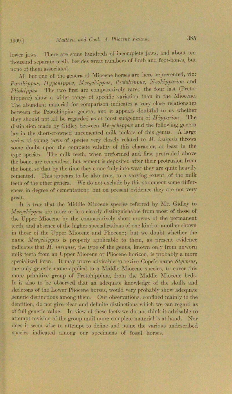 1900.] lower jaws. There are some hundreds of incomplete jaws, and about ten thousand separate teeth, besides great numbers of limb and foot-bones, but none of them associated. All but one of the genera of Miocene horses are here represented, viz: Parahippm, Hypohippus, Merychippus, Protohippus, Neohipparion and Pliohippus. The two first are comparatively rare; the four last (Proto- hippime) show a wider range of specific variation than in the Miocene. The abundant material for comparison indicates a very close relationship between the Protohippine genera, and it appears doubtful to us whether they should not all be regarded as at most subgenera of Ilipparion. I he distinction made by Gidley between Merychippus and the following genera lav in the short-crowned uncemented milk molars of this genus. A large series of young jaws of species very closely related to M. insignis throws some doubt upon the complete validity of this character, at least in the type species. The milk teeth, when preformed and first protruded above the bone, are cementless, but cement is deposited after their protrusion from the bone, so that by the time they come fully into wear they are quite heavily cemented. This appears to be also true, to a varying extent, of the milk teeth of the other genera. We do not exclude by this statement some differ- ences in degree of cementation; but on present evidence they are not very great. It is true that the Middle Miocene species referred by Mr. Gidley to Merychippus are more or less clearly distinguishable from most of those of the Upper Miocene by the comparatively short crowns of the permanent teeth, and absence of the higher specializations of one kind or another shown in those of the Upper Miocene and Pliocene; but we doubt whether the name Merychippus is properly applicable to them, as present evidence indicates that M. insignis, the type of the genus, known only from unworn milk teeth from an Upper Miocene or Pliocene horizon, is probably a more specialized form. It may prove advisable to revive Cope’s name Stylonus, the only generic name applied to a Middle Miocene species, to cover this more primitive group of Protohippime, from the Middle Miocene beds. It is also to be observed that an adequate knowledge of the skulls and skeletons of the Lower Pliocene horses, would very probably show adequate generic distinctions among them. Our observations, confined mainly to the dentition, do not give clear and definite distinctions which we can regard as of full generic value. In view of these facts we do not think it advisable to attempt revision of the group until more complete material is at hand. Xor does it seem wise to attempt to define and name the various undescribed species indicated among our specimens of fossil horses.