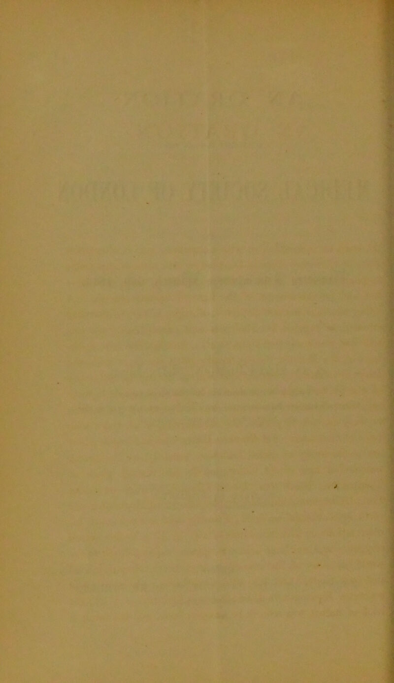 J IBM -- —i^****.-..^ jS* . .. '•> . :, . §T'