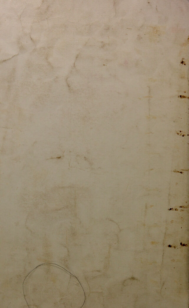 digitised image 2