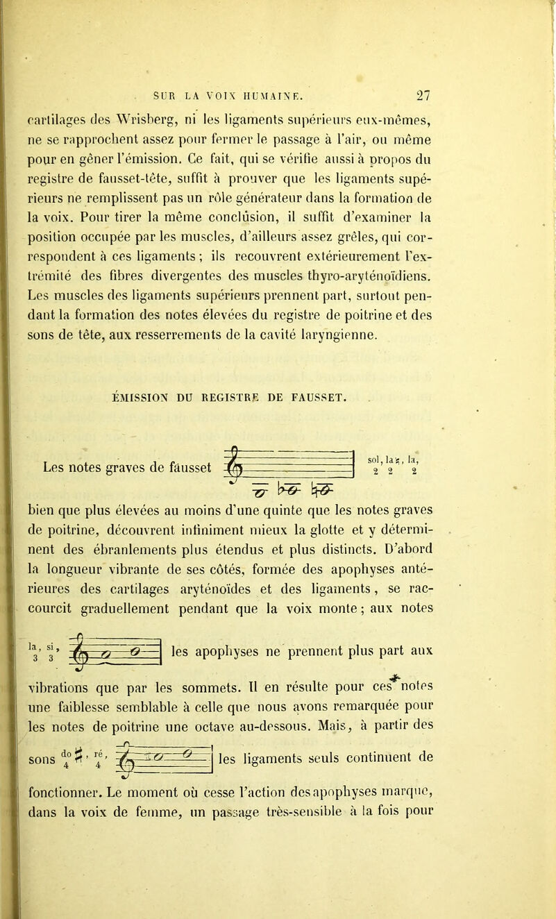 oarlilages ries Wrisherg, ni les ligaments supérieurs eux-mêmes, ne se rapprochent assez pour fermer le passage à l’air, ou même pour en gêner l’émission. Ce fait, qui se vérifie aussi à propos du registre de fausset-tête, suffit à prouver que les ligaments supé- rieurs ne remplissent pas un rôle générateur dans la formation de la voix. Pour tirer la même conclusion, il suffit d’examiner la position occupée par les muscles, d’ailleurs assez grêles, qui cor- respondent à ces ligaments ; ils recouvrent extérieurement l’ex- trémité des fibres divergentes des muscles thyro-aryténoïdiens. Les muscles des ligaments supérieurs prennent part, surtout pen- dant la formation des notes élevées du registre de poitrine et des sons de tête, aux resserrements de la cavité laryngienne. ÉMISSION DU REGISTRE DE FAUSSET. Les notes graves de fausset é' ^ sol, la's;, la, 2 2 2 bien que plus élevées au moins d’une quinte que les notes graves de poitrine, découvrent infiniment mieux la glotte et y détermi- nent des ébranlements plus étendus et plus distincts. D’abord la longueur vibrante de ses côtés, formée des apophyses anté- rieures des cartilages aryténoïdes et des ligaments, se rac- courcit graduellement pendant que la voix monte ; aux notes les apophyses ne prennent plus part aux vibrations que par les sommets. Il en résulte pour ces notes une faiblesse semblable à celle que nous avons remarquée pour les notes de poitrine une octave au-dessous. Mais, à partir des do . ré sons ^ rt ’ 4 ’ ^ rn—O- les ligaments seuls continuent de fonctionner. Le moment où cesse l’action des apophyses marque, dans la voix de femme, un passage très-sensible à la fois pour