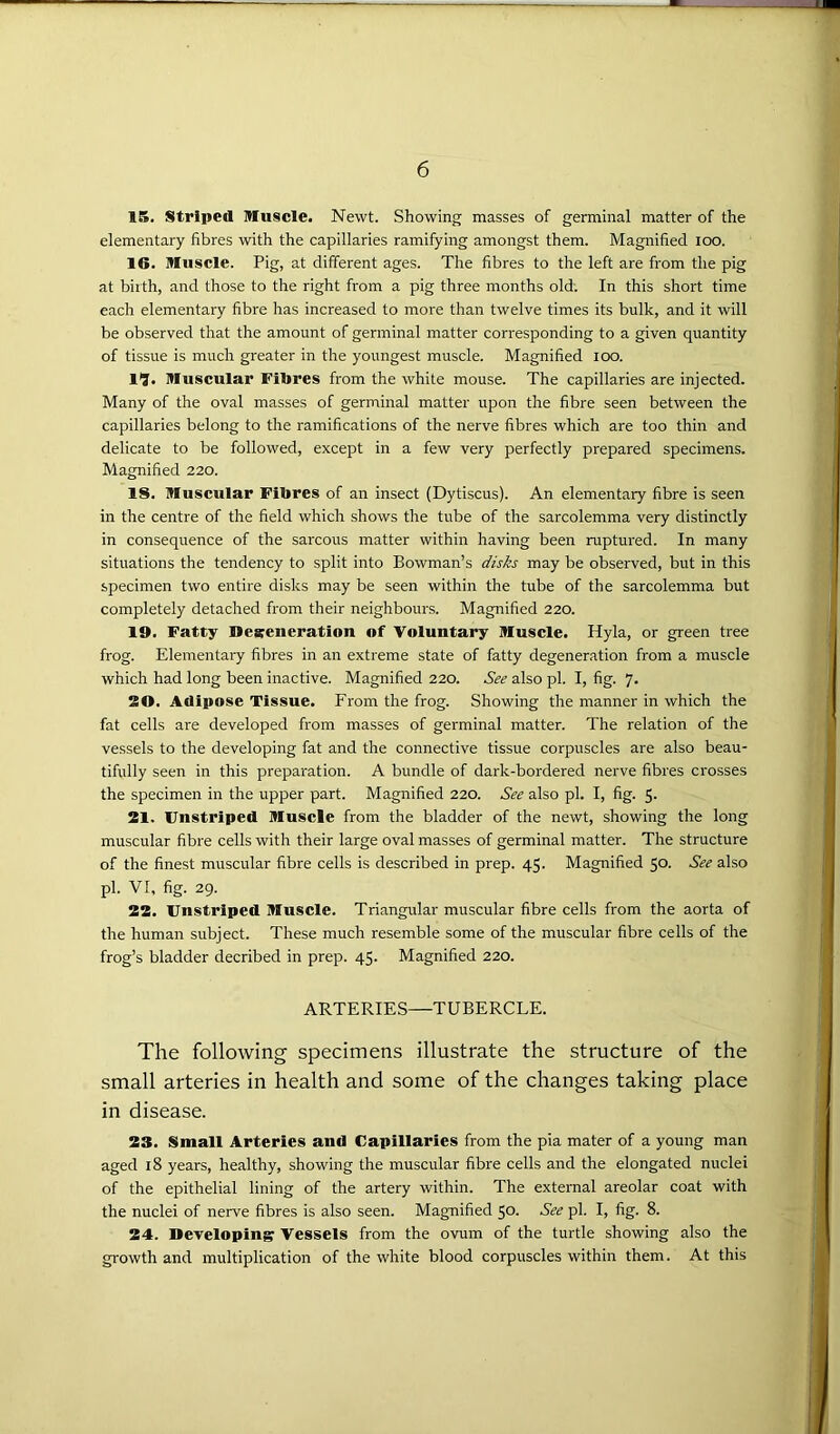 15. Striped Muscle. Newt. Showing masses of germinal matter of the elementary fibres with the capillaries ramifying amongst them. Magnified ioo. 16. Muscle. Pig, at different ages. The fibres to the left are from the pig at birth, and those to the right from a pig three months old: In this short time each elementary fibre has increased to more than twelve times its bulk, and it will be observed that the amount of germinal matter corresponding to a given quantity of tissue is much greater in the youngest muscle. Magnified ioo. I1?. Muscular Fibres from the white mouse. The capillaries are injected. Many of the oval masses of germinal matter upon the fibre seen between the capillaries belong to the ramifications of the nerve fibres which are too thin and delicate to be followed, except in a few very perfectly prepared specimens. Magnified 220. IS. Muscular Fibres of an insect (Dytiscus). An elementary fibre is seen in the centre of the field which shows the tube of the sarcolemma very distinctly in consequence of the sarcous matter within having been ruptured. In many situations the tendency to split into Bowman’s disks may be observed, but in this specimen two entire disks may be seen within the tube of the sarcolemma but completely detached from their neighbours. Magnified 220. 19. Fatty Degeneration of Voluntary Muscle. Hyla, or green tree frog. Elementary fibres in an extreme state of fatty degeneration from a muscle which had long been inactive. Magnified 220. See also pi. I, fig. 7. 20. Adipose Tissue. From the frog. Showing the manner in which the fat cells are developed from masses of germinal matter. The relation of the vessels to the developing fat and the connective tissue corpuscles are also beau- tifully seen in this preparation. A bundle of dark-bordered nerve fibres crosses the specimen in the upper part. Magnified 220. See also pi. I, fig. 5. 21. Unstriped Muscle from the bladder of the newt, showing the long muscular fibre cells with their large oval masses of germinal matter. The structure of the finest muscular fibre cells is described in prep. 45. Magnified 50. See also pi. VI, fig. 29. 22. Unstriped Muscle. Triangular muscular fibre cells from the aorta of the human subject. These much resemble some of the muscular fibre cells of the frog’s bladder decribed in prep. 45. Magnified 220. ARTERIES—TUBERCLE. The following specimens illustrate the structure of the small arteries in health and some of the changes taking place in disease. 23. Small Arteries and Capillaries from the pia mater of a young man aged 18 years, healthy, showing the muscular fibre cells and the elongated nuclei of the epithelial lining of the artery within. The external areolar coat with the nuclei of nerve fibres is also seen. Magnified 50. See pi. I, fig. 8. 24. Developing Vessels from the ovum of the turtle showing also the growth and multiplication of the white blood corpuscles within them. At this