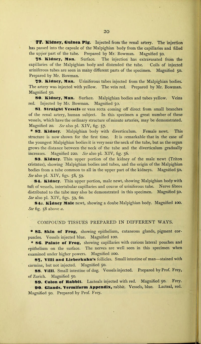 77. Kidney, Guinea Pig. Injected from the renal artery. The injection has passed into the capsule of the Malpighian body from the capillaries and filled the upper part of the tube. Prepared by Mr. Bowman. Magnified 50. flS. Kidney, Man. Surface. The injection has extravasated from the capillaries of the Malpighian body and distended the tube. Coils of injected uriniferous tubes are seen in many different parts of the specimen. Magnified 50. Prepared by Mr. Bowman. *J9. Kidney, Man. Uriniferous tubes injected from the Malpighian bodies. The artery was injected with yellow. The vein red. Prepared by Mr. Bowman. Magnified 50. 80. Kidney, Man. Surface. Malpighian bodies and tubes yellow. Veins red. Injected by Mr. Bowman. Magnified 50. 81. Straight Vessels or vasa recta coming off direct from small branches of the renal artery, human subject. In this specimen a great number of these vessels, which have the ordinary structure of minute arteries, may be demonstrated. Magnified 20. See also pi. XIV, fig. 57. * 82. Kidney. Malpighian body with diverticulum. Female newt. This structure is now shown for the first time. It is remarkable that in the case of the youngest Malpighian bodies it is very near the neck of the tube, but as the organ grows the distance between the neck of the tube and the diverticulum gradually increases. Magnified 220. See also pi. XIV, fig. 56. 83. Kidney. Thin upper portion of the kidney of the male newt (Triton cristatus), showing Malpighian bodies and tubes, and the origin of the Malpighian bodies from a tube common to all in the upper part of the kidneys. Magnified 50. See also pi. XIV, figs. 58, 59- 84. Kidney. Thin upper portion, male newt, showing Malpighian body with tuft of vessels, intertubular capillaries and course of uriniferous tube. Nerve fibres distributed to the tube may also be demonstrated in this specimen. Magnified 50. See also pi. XIV, figs. 59, 60. 84a. Kidney Male newt, showing a doube Malpighian body. Magnified 100. See fig. 58 above a. COMPOUND TISSUES PREPARED IN DIFFERENT WAYS. * 85. Skin of Frog, showing epithelium, cutaneous glands, pigment cor- puscles. Vessels injected blue. Magnified 100. * 86. Palate of Fro?, showing capillaries with curious lateral pouches and epithelium on the surface. The nerves are well seen in this specimen when examined under higher powers. Magnified 100. 81. Villi and Cieberkuhn’s follicles. Small intestine of man—stained with carmine, but not injected. Magnified 50. 88. Villi. Small intestine of dog. Vessels injected. Prepared by Prof. Frey, of Zurich. Magnified 50. 89. Colon of Rabbit. Lacteals injected with red. Magnified 50. Frey. 90. Glands. Vermiform Appendix, rabbit. Vessels, blue. Lacteal, red. Magnified 50. Prepared by Prof. Frey.