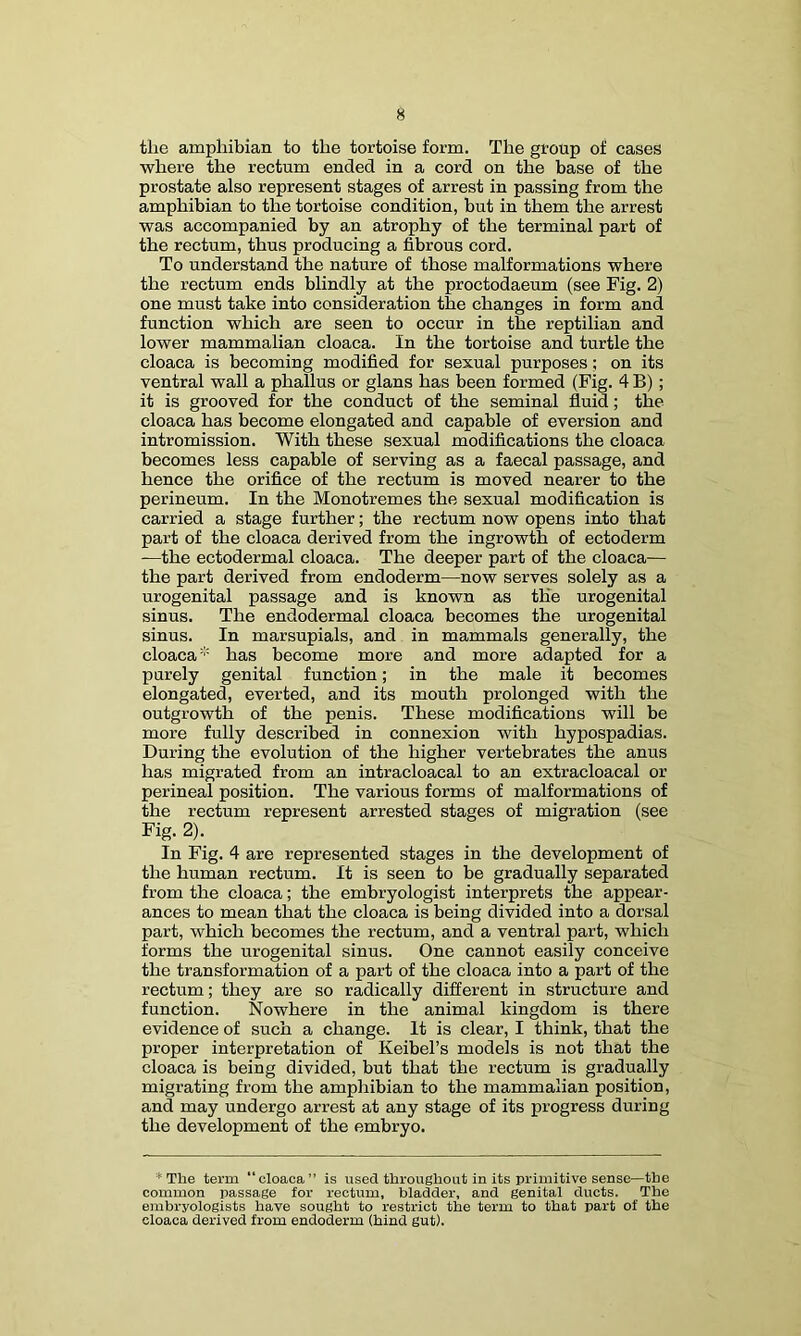 tlie amphibian to the tortoise form. The group of cases where the rectum ended in a cord on the base of the prostate also represent stages of arrest in passing from the amphibian to the tortoise condition, hut in them the arrest was accompanied by an atrophy of the terminal part of the rectum, thus producing a fibrous cord. To understand the nature of those malformations where the rectum ends blindly at the proctodaeum (see Fig. 2) one must take into consideration the changes in form and function which are seen to occur in the reptilian and lower mammalian cloaca. In the tortoise and turtle the cloaca is becoming modified for sexual purposes; on its ventral wall a phallus or glans has been formed (Fig. 4 B); it is grooved for the conduct of the seminal fluid; the cloaca has become elongated and capable of eversion and intromission. With these sexual modifications the cloaca becomes less capable of serving as a faecal passage, and hence the orifice of the rectum is moved nearer to the perineum. In the Monotremes the sexual modification is carried a stage further; the rectum now opens into that part of the cloaca derived from the ingrowth of ectoderm —the ectodermal cloaca. The deeper part of the cloaca— the part derived from endoderm—now serves solely as a urogenital passage and is known as the urogenital sinus. The endodermal cloaca becomes the urogenital sinus. In marsupials, and in mammals generally, the cloaca'' has become more and more adapted for a purely genital function; in the male it becomes elongated, everted, and its mouth prolonged with the outgrowth of the penis. These modifications will be more fully described in connexion with hypospadias. During the evolution of the higher vertebrates the anus has migrated from an intracloacal to an extracloacal or perineal position. The various forms of malformations of the rectum represent arrested stages of migration (see Fig. 2). In Fig. 4 are represented stages in the development of the human rectum. It is seen to be gradually separated from the cloaca; the embryologist interprets the appear- ances to mean that the cloaca is being divided into a dorsal part, which becomes the rectum, and a ventral part, which forms the urogenital sinus. One cannot easily conceive the transformation of a part of the cloaca into a part of the rectum; they are so radically different in structure and function. Nowhere in the animal kingdom is there evidence of such a change. It is clear, I think, that the proper interpretation of Keibel’s models is not that the cloaca is being divided, but that the rectum is gradually migrating from the amphibian to the mammalian position, and may undergo arrest at any stage of its progress during the development of the embryo. * The term “cloaca” is used throughout in its primitive sense—the common passage tor rectum, bladder, and genital ducts. The embryologists have sought to restrict the term to that part of the cloaca derived from endoderm (hind gut).