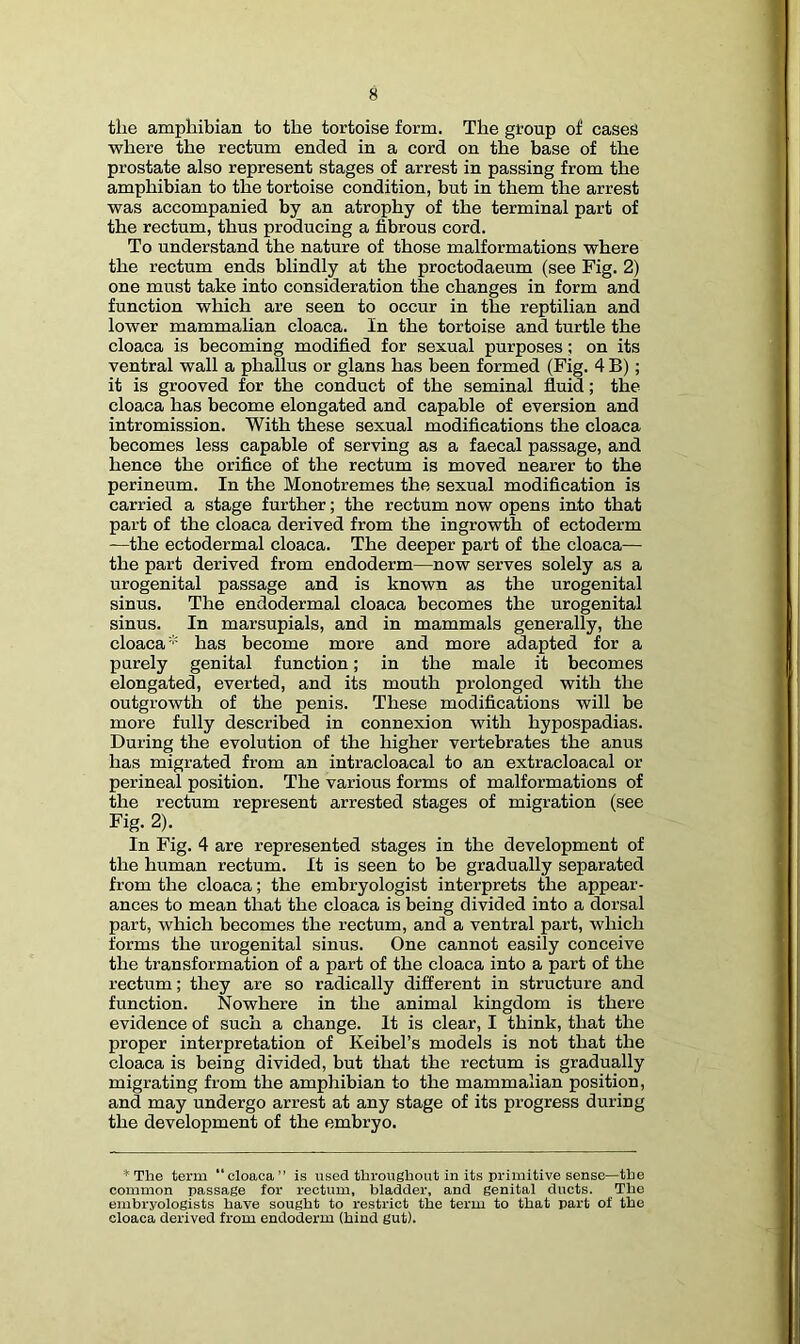 the amphibian to the tortoise form. The group of cases where the rectum ended in a cord on the base of the prostate also represent stages of arrest in passing from the amphibian to the tortoise condition, but in them the arrest was accompanied by an atrophy of the terminal part of the rectum, thus producing a fibrous cord. To understand the nature of those malformations where the rectum ends blindly at the proctodaeum (see Fig. 2) one must take into consideration the changes in form and function which are seen to occur in the reptilian and lower mammalian cloaca. In the tortoise and turtle the cloaca is becoming modified for sexual purposes; on its ventral wall a phallus or glans has been formed (Fig. 4 B); it is grooved for the conduct of the seminal fluid; the cloaca has become elongated and capable of eversion and intromission. With these sexual modifications the cloaca becomes less capable of serving as a faecal passage, and hence the orifice of the rectum is moved nearer to the perineum. In the Monotremes the sexual modification is carried a stage further; the rectum now opens into that part of the cloaca derived from the ingrowth of ectoderm —the ectodermal cloaca. The deeper part of the cloaca— the part derived from endoderm—now serves solely as a urogenital passage and is known as the urogenital sinus. The endodermal cloaca becomes the urogenital sinus. In marsupials, and in mammals generally, the cloaca* has become more and more adapted for a purely genital function; in the male it becomes elongated, everted, and its mouth prolonged with the outgrowth of the penis. These modifications will be more fully described in connexion with hypospadias. During the evolution of the higher vertebrates the anus has migrated from an intracloacal to an extracloacal or perineal position. The various forms of malformations of the rectum represent arrested stages of migration (see Fig. 2). In Fig. 4 are represented stages in the development of the human rectum. It is seen to be gradually separated from the cloaca; the embryologist interprets the appear- ances to mean that the cloaca is being divided into a dorsal part, which becomes the rectum, and a ventral part, which forms the urogenital sinus. One cannot easily conceive the transformation of a part of the cloaca into a part of the rectum; they are so radically different in structure and function. Nowhere in the animal kingdom is there evidence of such a change. It is clear, I think, that the proper interpretation of Keibel’s models is not that the cloaca is being divided, but that the rectum is gradually migrating from the amphibian to the mammalian position, and may undergo arrest at any stage of its progress during the development of the embryo. *Tlie term “cloaca” is used throughout in its primitive sense—tbe common passage for rectum, bladder, and genital ducts. The embryologists have sought to restrict the term to that part of the cloaca derived from endoderm (hind gut).