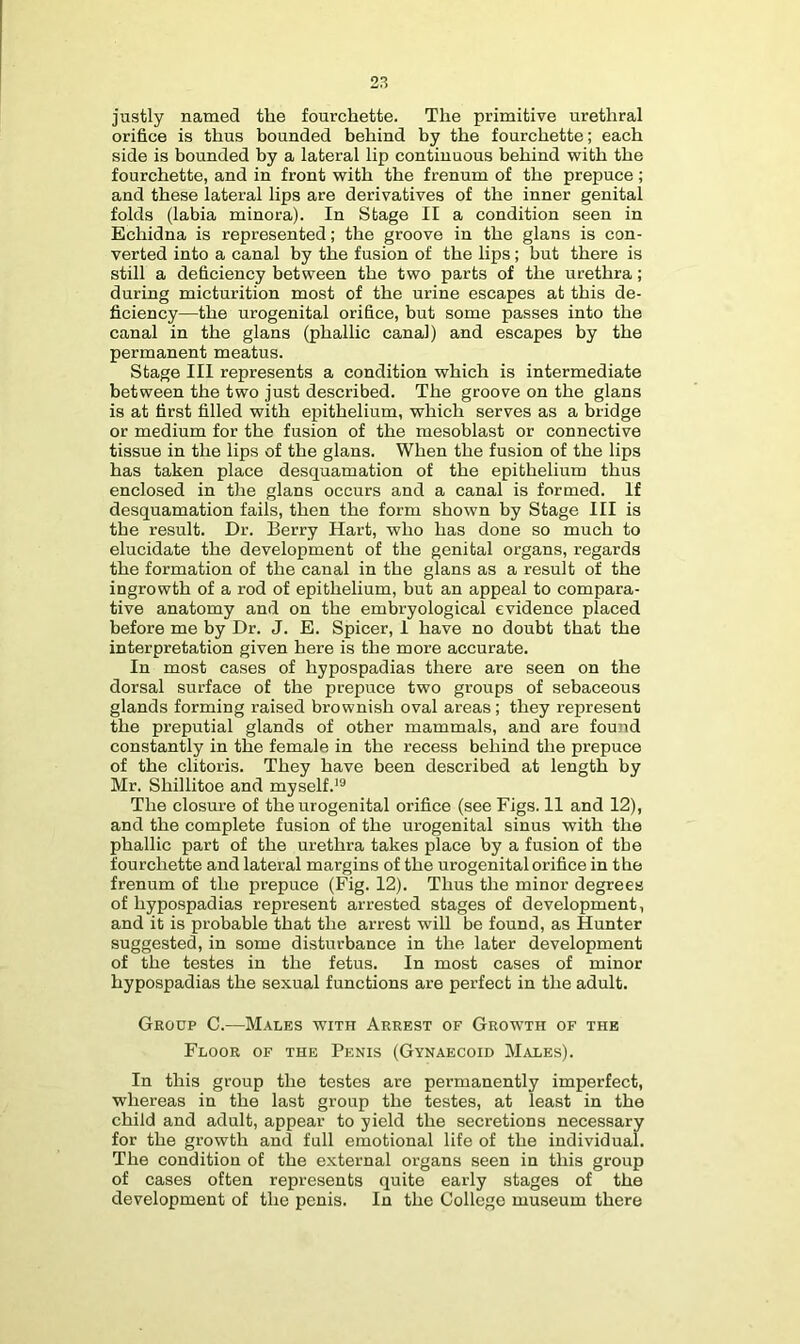 justly named the fourchette. The primitive urethral orifice is thus bounded behind by the fourchette; each side is bounded by a lateral lip continuous behind with the fourchette, and in front with the frenum of the prepuce; and these lateral lips are derivatives of the inner genital folds (labia minora). In Stage II a condition seen in Echidna is represented; the groove in the glans is con- verted into a canal by the fusion of the lips; but there is still a deficiency between the two parts of the urethra; during micturition most of the urine escapes at this de- ficiency—the urogenital orifice, but some passes into the canal in the glans (phallic canal) and escapes by the permanent meatus. Stage III represents a condition which is intermediate between the two just described. The groove on the glans is at first filled with epithelium, which serves as a bridge or medium for the fusion of the mesoblast or connective tissue in the lips of the glans. When the fusion of the lips has taken place desquamation of the epithelium thus enclosed in the glans occurs and a canal is formed. If desquamation fails, then the form shown by Stage III is the result. Dr. Berry Hart, who has done so much to elucidate the development of the genital organs, regards the formation of the canal in the glans as a result of the ingrowth of a rod of epithelium, but an appeal to compara- tive anatomy and on the embryological evidence placed before me by Dr. J. E. Spicer, I have no doubt that the interpretation given here is the more accurate. In most cases of hypospadias there are seen on the dorsal surface of the prepuce two groups of sebaceous glands forming raised brownish oval areas; they represent the preputial glands of other mammals, and are found constantly in the female in the recess behind the prepuce of the clitoris. They have been described at length by Mr. Shillitoe and myself.'® The closure of the urogenital orifice (see Figs. 11 and 12), and the complete fusion of the urogenital sinus with the phallic part of the urethra takes place by a fusion of tbe fourchette and lateral margins of the urogenital orifice in the frenum of the prepuce (Fig. 12). Thus the minor degrees of hypospadias represent arrested stages of development, and it is probable that the arrest will be found, as Hunter suggested, in some disturbance in the later development of the testes in the fetus. In most cases of minor hypospadias the sexual functions are perfect in the adult. Group C.—Males with Arrest of Growth of the Floor of the Penis (Gynaecoid Males). In this group the testes are permanently imperfect, whereas in the last group the testes, at least in the child and adult, appear to yield the secretions necessary for the growth and full emotional life of the individual. The condition of the external organs seen in this group of cases often represents quite early stages of the development of the penis. In the College museum there
