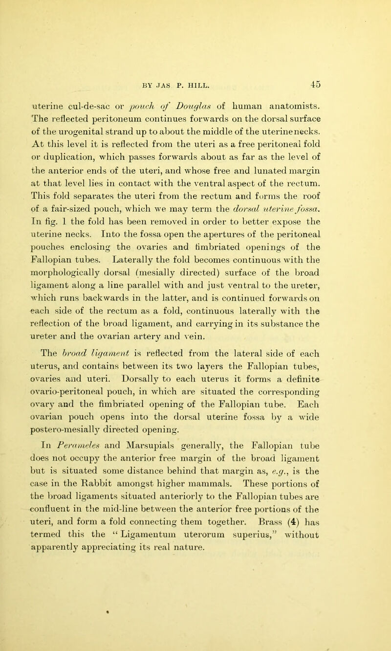 uterine cul-de-sac or pouch of Douglas of human anatomists. The reflected peritoneum continues forwards on the dorsal surface of the urogenital strand up to about the middle of the uterine necks. At this level it is i-eflected from the uteri as a free peritoneal fold or duplication, which passes forwards about as far as the level of the anterior ends of the uteri, and whose free and lunated margin at that level lies in contact with the ventral aspect of the rectum. This fold separates the uteri from the rectum and forms the roof of a fair-sized pouch, which we may term the dorsal uterine fossa. In fig. 1 the fold has been removed in order to better expose the uterine necks. Into the fossa open the apertures of the peritoneal pouches enclosing the ovaries and fimbriated openings of the Fallopian tubes. Laterally the fold becomes continuous with the morphologically dorsal (mesially directed) surface of the broad ligament along a line parallel with and just ventral to the ureter, which runs backwards in the latter, and is continued forwards on each side of the rectum as a fold, continuous laterally with the reflection of the broad ligament, and carrying in its substance the ureter and the ovarian artery and vein. The broad licjament is reflected from the lateral side of each uterus, and contains between its two laj^ers the Fallopian tubes, ovaries and uteri. Dorsally to each uterus it forms a definite ovario-peritoneal pouch, in which are situated the corresponding ovary and the fimbriated opening of the Fallopian tube. Each ovarian pouch opens into the dorsal uterine fossa by a wide postero-mesiallj’^ directed opening. In Ferameles and Marsupials generall}', the Fallopian tube does not occup}'^ the anterior free margin of the broad ligament but is situated some distance behind that margin as, e.tj.. is the case in the Rabbit amongst higher mammals. These portions of the broad ligaments situated anteriorly to the Fallopian tubes ai’e confluent in tlie mid-line between the anterior free portions of the uteri, and form a fold connecting them together. Brass (4) has termed this the “ Ligamentum uterorum superius,” without apparently appreciating its real nature.