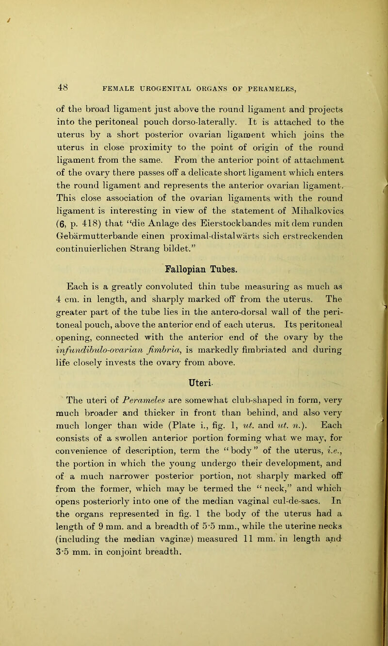of the broad ligament just above the round ligament and projects into the peritoneal pouch dorso-laterally. It is attached to the uterus by a short posterior ovarian ligament which joins the uterus in close proximity to the point of origin of the round ligament from the same. From the anterior point of attachment of the ovary there passes off a delicate short ligament which enters the round ligament and represents the anterior ovarian ligament. This close association of the ovarian ligaments, with the round ligament is interesting in view of the statement of Mihalkovics (6, p. 418) that “die Anlage des Eierstockbandes mitdem runden Gebarmutterbande einen proximal-distalwarts sich erstreckenden continuierlichen Strang bildet.” Fallopian Tubes. Each is a greatly convoluted thin tube measuring as much as 4 cm. in length, and sharply marked off from the uterus. The greater part of the tube lies in the antero-dorsal wall of the peri- toneal pouch, above the anterior end of each uterus. Its peritoneal opening, connected with the anterior end of the ovary by the infttndihulo-ovarian fimbria, is markedly fimbriated and during life closely invests the ovary from above. Uteri. The uteri of Perameles are somewhat club-shaped in form, very much broader and thicker in front than behind, and also very much longer than wide (Plate i., fig. 1, ut. and v,t. n.). Each consists of a swollen anterior portion forming what we may, for convenience of description, term the “body” of the uterus, i.e., the portion in which the young undergo their development, and of a much narrower posterior portion, not sharply marked off from the former, which may be termed the “ neck,” and which opens posteriorly into one of the median vaginal cul-de-sacs. In the organs represented in fig. 1 the body of the uterus had a length of 9 mm. and a breadth of 5-5 mm., while the uterine necks (including the median vagime) measured 11 mm. in length and 3'5 mm. in conjoint breadth.