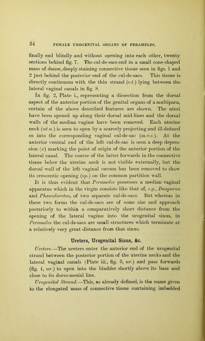 6nally end blindly and without opening into each other, twenty sections behind fig. 7. The cul-de-sacs end in a small cone-shaped mass of dense, deeply staining connective tissue seen in figs. 1 and 2 just behind the posterior end of the cul-de-sacs. This tissue is. directly continuous with the thin strand {c.t.) lying between the lateral vaginal canals in fig. 8. In fig. 2, Plate i., representing a dissection from the dorsal aspect of the anterior portion of the genital organs of a multipara, certain of the above described features are shown. The uteri have been opened up along their dorsal mid-lines and the dorsal walls of the median vaginse have been removed. Each uterine neck {ut.n.) is seen to open bj' a scarcely projecting and ill-detined os into the corresponding vaginal cul-de-sac (m.v.c.). At the anterior ventral end of the left cul-de-sac is seen a deep depres- sion (x) marking the point of origin of the anterior portion of the lateral canal. The course of the latter forwai’ds in the connective tissue below the uterine neck is not visible externally, but the dorsal wall of the left vaginal caecum has been removed to show its crescentic opening (o^).) on the common partition wall. It is thus evident that Perameles possesses a median vaginal apparatus which in the virgin consists like that of, e.y., Dasyurus and Phascolarctus, of two separate cul-de-sacs. But whereas in these two forms the cul-de-sacs are of some size and approach posteriorly to within a comparatively short distance from the opening of the lateral vaginae into the urogenital sinus, in Perameles the cul-de-sacs are small structures which terminate at a relatively very great distance from that sinus. Ureters, Urogenital Sinus, &c. Ureters.—The ureters enter the anterior end of the urogenital strand between the posterior portion of the uterine necks and the lateral vaginal canals (Plate iii., fig. 5, ur.) and pass forwards (fig. 4, ur.) to open into the bladder shortly above its base and close to its dorso-mesial line. Urogenital Strand.—This, as already defined, is the name given to the elongated mass of connective tissue containing imbedded