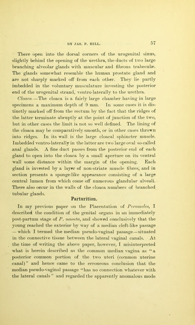 Thei’e open into the dorsal corners of the urogenital sinus, slightly behind the opening of the urethra, the ducts of two large branching alveolar glands with muscular and fibrous trabeculae. The glands somewhat resemble the human prostate gland and are not sharply marked off from each other. They lie partly imbedded in the voluntary musculature investing the posterior end of the urogenital strand, ventro-laterally to the urethra. Cloaca. — The cloaca is a fairly large chamber having in large specimens a maximum depth of 9 mm. In some cases it is dis- tinctly marked off from the rectum by the fact that the ridges of the latter terminate abruptly at the point of junction of the two, but in other cases the limit is not so well defined. The lining of the cloaca may be comparatively smooth, or in other cases thrown into ridges. In its wall is the large cloacal sphincter muscle. Imbedded ventro-laterally in the latter are two large oval so-called anal glands. A fine duct passes from the posterior end of each gland to open into the cloaca by a small aperture on its ventral wall some distance within the margin of tlie opening. Each gland is invested by a layer of non-striate muscle fibres, and in section presents a sponge-like appearance consisting of a large central lumen from which come ofl’ numerous glandular alveoli. There also occur in the walls of the cloaca numbers of liranched tubular glands. Parturition. In my previous paper on the Placentation of I'cramdes, I described the condition of the genital organs in an immediately post-partum stage of P. naxuta, and showed conclusively that the young reached the exterior by wa}”^ of a median cleft-like passage — which I termed the median pseudo-vaginal passage—situated in the connective tissue between the lateral vaginal canals. At the time of writing the above paper, however, I misinterpreted what is herein described as the common median vagina as “ a posterior common portion of the two uteri (common uterine canal) ” and hence came to the erroneous conclusion that the median pseudo-vaginal passage “has no connection whatever with the lateral canals ” and regarded the apparently anomalous mode
