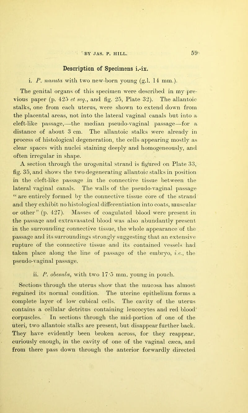 Description of Specimens i.-ix. i. P. nasuta with two new-born young (g.l. 14 mm.). The genital organs of thi.s specimen were described in my pre- vious paper (p. 425 et seq., and fig. 25, Plate 32). The allantoic stalks, one from each uterus, were shown to extend down from the placental areas, not into the lateral vaginal canals but into a cleft-like passage,—the median pseudo-vaginal passage—for a distance of about 3 cm. The allantoic stalks were already in process of histological degeneration, the cells appearing mostly as clear spaces with nuclei staining deeply and homogeneously, and often irregular in shape. A section through the urogenital strand is figured on Plate 33, fig. 35, and shows the two degenerating allantoic stalks in position in the cleft-like passage in the connective tissue between the lateral vaginal canals. The walls of the pseudo-vaginal passage “ are entirely formed by the connecti\'e tissue core of the strand and they exhibit no histological differentiation into coats, muscular or other” (p. 427). Masses of coagulated blood were present in the passage and extravasated blood was also abundantly present in the surrounding connective tissue, the whole appearance of the passage and its surroundings strongly suggesting that an extensive rupture of the connective tissue and its contained vessels harl taken place along the line of passage of the embiyo, i.e., the pseudo-vaginal passage. ii. P. obesula, with two 17'5 mm. young in pouch. Sections through the uterus show that the mucosa has almost regained its normal condition. The uterine epithelium forms a complete layer of low cubical cells. The cavity of the uterus contains a cellular detritus containing leucocytes and red blood’ corpuscles. In sections through the mid-portion of one of the uteri, two allantoic stalks are present, but disappear further back. They have evidently been broken across, for they reappear, curiously enough, in the cavity of one of the vaginal cieca, and from there pass down through the antei’ior forwardly directed