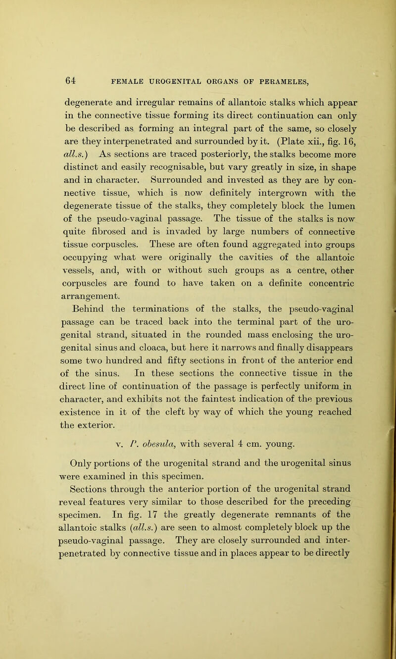 degenerate and irregular remains of allantoic stalks which appear in the connective tissue forming its direct continuation can only be described as forming an integral part of the same, so closely are they interpenetrated and surrounded by it. (Plate xii., fig. 16, alls.) As sections are traced posteriorly, the stalks become more distinct and easily recognisable, but vary greatly in size, in shape and in character. Surrounded and invested as they are by con- nective tissue, which is now definitely intergrown with the degenerate tissue of the stalks, they completely block the lumen of the pseudo-vaginal passage. The tissue of the stalks is now quite fibrosed and is invaded by large numbers of connective tissue corpuscles. These are often found aggregated into groups occupying what were originally the cavities of the allantoic vessels, and, with or without such groups as a centre, other corpuscles are found to have taken on a definite concentric arrangement. Behind the terminations of the stalks, the pseudo-vaginal passage can be traced back into the terminal part of the uro- genital strand, situated in the rounded mass enclosing the uro- genital sinus and cloaca, but here it narrows and finally disappears some two hundred and fifty sections in front of the anterior end of the sinus. In these sections the connective tissue in the direct line of continuation of the passage is perfectly uniform in character, and exhibits not the faintest indication of the previous existence in it of the cleft by way of which the young reached the exterior. V. /’. ohesula, with several 4 cm. young. Only portions of the urogenital strand and the urogenital sinus were examined in this specimen. Sections through the anterior portion of the urogenital strand reveal features very similar to those described for the preceding specimen. In fig. 17 the greatly degenerate remnants of the allantoic stalks (all.s.) are seen to almost completely block up the pseudo-vaginal passage. They are closely surrounded and inter- penetrated by connective tissue and in places appear to be directly