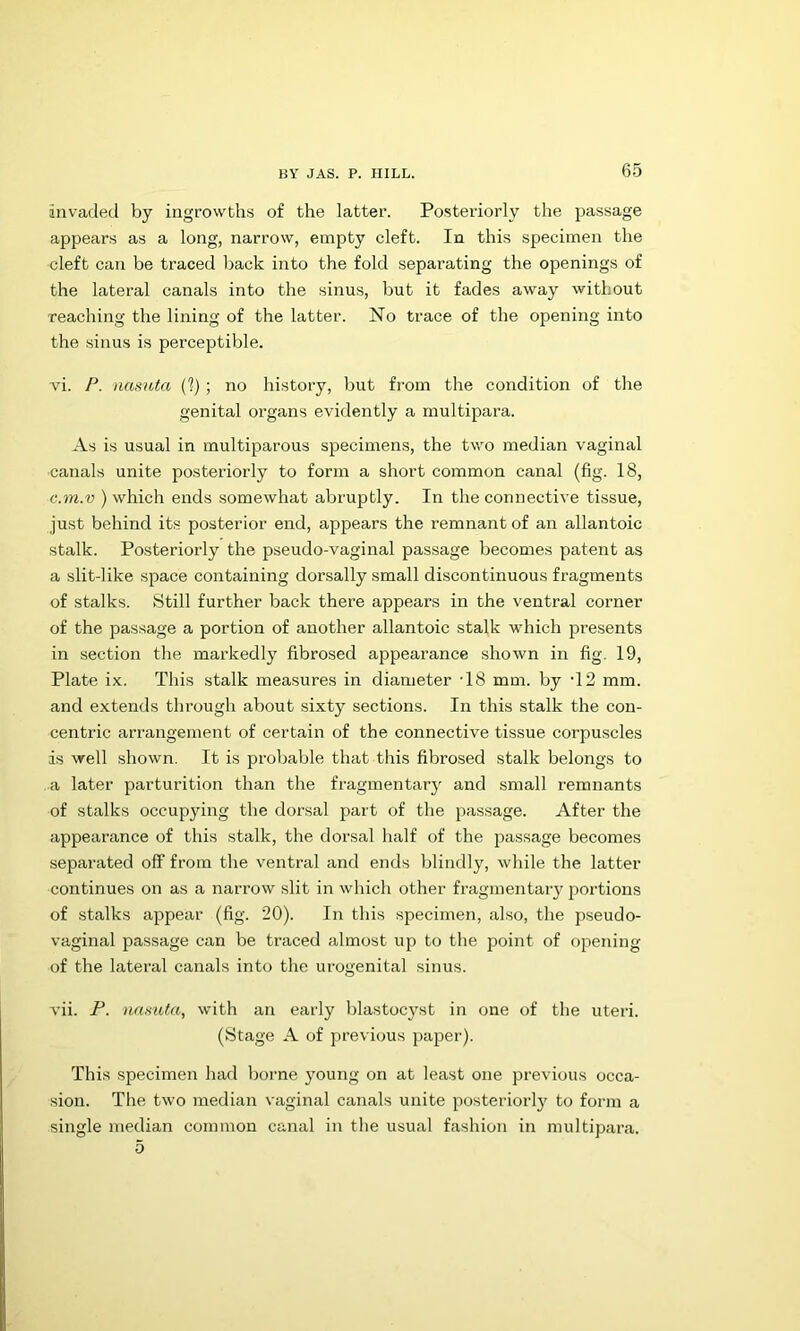 invaded by ingrowths of the latter. Posteriorly the jaassage appears as a long, narrow, empty cleft. In this specimen the cleft can be traced back into the fold separating the openings of the lateral canals into the sinus, but it fades away without reaching the lining of the latter. No trace of the opening into the sinus is pei’ceptible. vi. P. nasihta (I) ; no history, but from the condition of the genital organs evidently a multipara. As is usual in multiparous specimens, the two median vaginal canals unite posteriorly to form a short common canal (fig. 18, c.m.v ) which ends somewhat abruptly. In the connective tissue, just behind its posterior end, appears the remnant of an allantoic stalk. Posteriorly the pseudo-vaginal passage becomes patent as a slit-like space containing dorsally small discontinuous fragments of stalks. 8till further back there appears in the ventral corner of the passage a portion of another allantoic stalk which presents in section the markedly fibrosed appearance shown in fig. 19, Plate ix. This stalk measures in diameter T8 mm. by ‘12 mm. and extends through about sixty sections. In this stalk the con- centric arrangement of certain of the connective tissue corpuscles is well shown. It is probable that this fibrosed stalk belongs to a later parturition than the fragmentarj' and small remnants of stalks occupying the dorsal part of the passage. After the appearance of this stalk, the dorsal half of the passage becomes separated off from the ventral and ends blindly, while the latter continues on as a narrow slit in which other fragmentaiy portions of stalks appear (fig. 20). In this specimen, also, the pseudo- vaginal passage can be traced almost up to the point of opening of the lateral canals into the urogenital sinus. vii. P. naauta, with an early blastocyst in one of the uteri. (Stage A of previous paper). This specimen had borne young on at least one previous occa- sion. The two median vaginal canals unite posteriorly to form a single median common canal in the usual fashion in multipara. 5