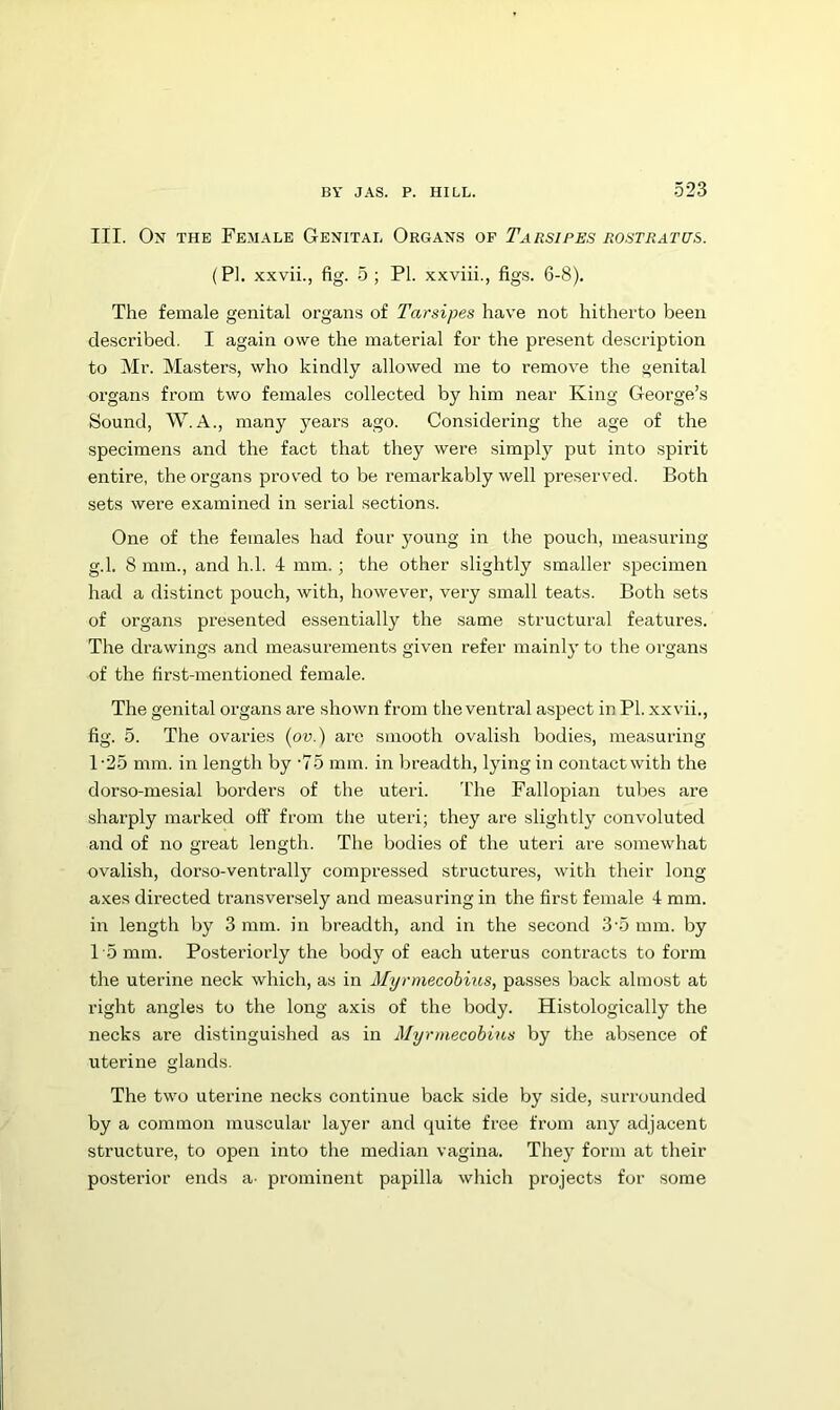 III. Ox THE Female Genital Organs of Tarsipes rostratus. (PI. xxvii., fig. 5 ; PL xxviii., figs. 6-8). The female genital organs of Tarsipes have not hitherto been described. I again owe the material for the present description to Mr. Masters, who kindly allowed me to remove the genital organs from two females collected by him near King George’s Sound, W.A., many years ago. Considering the age of the specimens and the fact that they were simply put into spirit entire, the organs prov'ed to be remarkably well preserved. Both sets were examined in serial sections. One of the females had four young in the pouch, measuring g.l. 8 mm., and h.l. 4 mm.; the other slightly smaller specimen had a distinct pouch, with, however, very small teats. Both sets of organs presented essentially the same structural features. The drawings and measurements given refer mainly to the organs of the first-mentioned female. The genital organs are shown from the ventral aspect in PL xxvii., fig. 5. The ovaries {ov.) are smooth ovalish bodies, measuring T25 mm. in length by ‘75 mm. in breadth, lying in contact with the dorso-mesial borders of the uteri. The Fallopian tubes are sharply marked off from the uteri; they are slightly convoluted and of no great length. The bodies of the uteri are somewhat ovalish, dorso-ventrally compressed structures, wdth their long axes directed transversely and measuring in the first female 4 mm. in length by 3 mm. in breadth, and in the second 3'5 mm. by T5 mm. Posteriorly the body of each uterus contracts to form the uterine neck which, as in Myrmecohins, passes back almost at right angles to the long axis of the body. Histologically the necks are distinguished as in Myrmecohins by the absence of uterine glands. The two uterine necks continue back side by side, surrounded by a common muscular layer and cpiite free from any adjacent structure, to open into the median vagina. They form at their posterior ends a- prominent papilla which projects for some