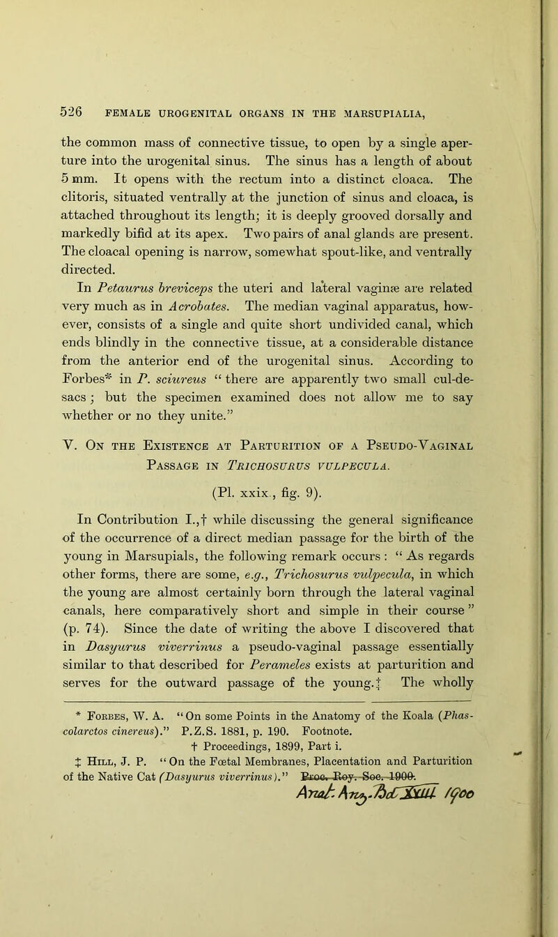 the common mass of connective tissue, to open by a single aper- ture into the urogenital sinus. The sinus has a length of about 5 mm. It opens with the rectum into a distinct cloaca. The clitoris, situated ventrally at the junction of sinus and cloaca, is attached throughout its length; it is deeply grooved dorsally and markedly bifid at its apex. Two pairs of anal glands are present. The cloacal opening is narrow, somewhat spout-like, and ventrally directed. In Petaurus hreviceps the uteri and la*teral vagime are related very much as in Acrobates. The median vaginal apparatus, how- ever, consists of a single and quite short undivided canal, which ends blindly in the connective tissue, at a considerable distance from the anterior end of the urogenital sinus. According to Forbes'^' in P. sciureus “ there are apparently two small cul-de- sacs ; but the specimen examined does not allow me to say whether or no they unite.” V. On the Existence at Parturition of a Pseudo-Vaginal Passage in Trichosurus vulpecula. (PI. xxix., fig. 9). In Contribution I.,f while discussing the general significance of the occurrence of a direct median passage for the birth of the young in Marsupials, the following remark occurs : “ As regards other forms, there are some, e.g., Trichosurus vulpecula, in which the young are almost certainly born through the lateral vaginal canals, here comparatively short and simple in their course ” (p. 74). Since the date of writing the above I discovered that in Dasyurus viverrinus a pseudo-vaginal passage essentially similar to that described for Perameles exists at parturition and serves for the outward passage of the young, t The wholly * Foebes, W. a. “On some Points in the Anatomy of the Koala (Phas- colarctos cinereus).” P.Z.S. 1881, p. 190. Footnote. t Proceedings, 1899, Part i. X Hill, J. P. “On the Foetal Membranes, Placentation and Parturition of the Native Cat (Dasyurus viverrinus). Brnc, Itey-.-Se6r-1900-. Anah /foo
