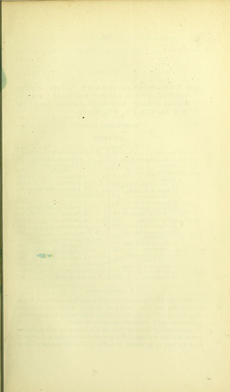 -■/pf::<- 'j>. ,4'^ 'V >,*. n '^•V^J > . . bn ‘ ••• i>V:!', itri;f,: ■ ^ fci, <■ // V.