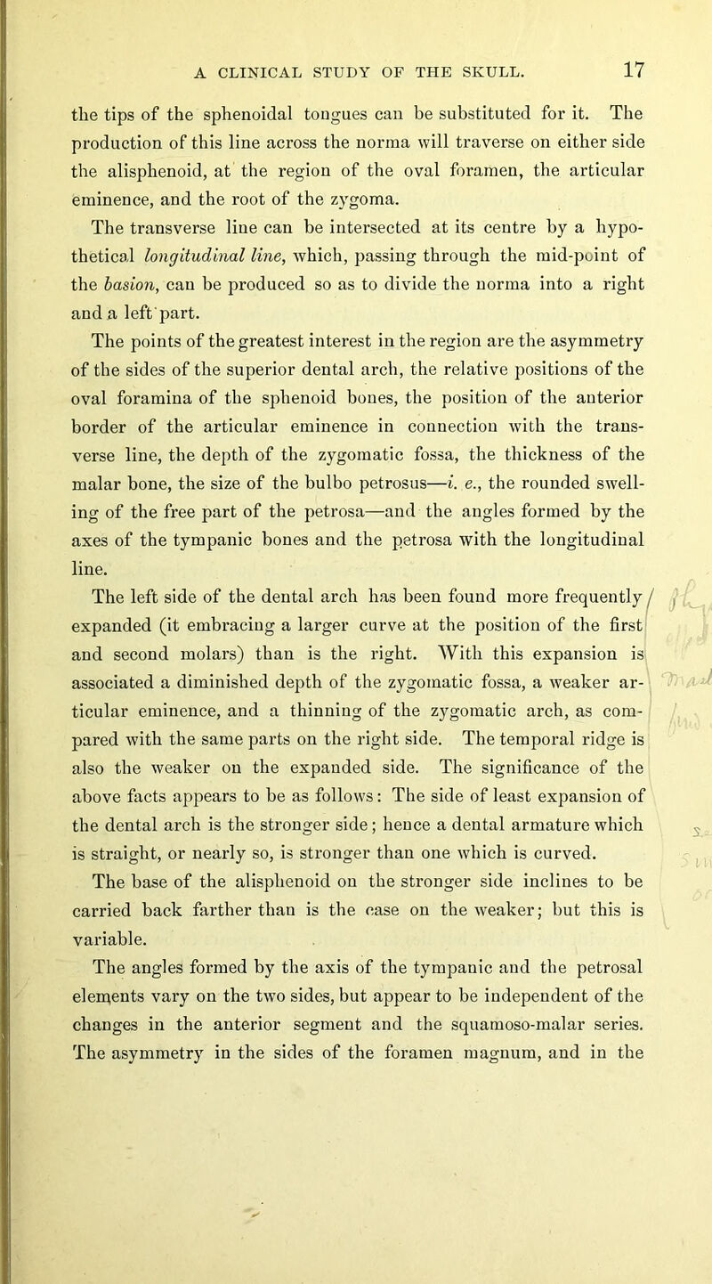 the tips of the sphenoidal tongues can he substituted for it. The production of this line across the norma will traverse on either side the alisphenoid, at the region of the oval foramen, the articular eminence, and the root of the zygoma. The transverse line can be intersected at its centre by a hypo- thetical longitudinal line, which, passing through the mid-point of the basion, can be produced so as to divide the norma into a right and a left'part. The points of the greatest interest in the region are the asymmetry of the sides of the superior dental arch, the relative positions of the oval foramina of the sphenoid bones, the position of the anterior border of the articular eminence in connection with the trans- verse line, the depth of the zygomatic fossa, the thickness of the malar bone, the size of the bulbo petrosus—i. e., the rounded swell- ing of the free part of the petrosa—and the angles formed by the axes of the tympanic bones and the petrosa with the longitudinal line. The left side of the dental arch has been found more frequently expanded (it embi’acing a larger curve at the position of the first and second molars) than is the right. With this expansion is associated a diminished depth of the zygomatic fossa, a weaker ar- ticular eminence, and a thinning of the zygomatic arch, as com- pared with the same parts on the right side. The temporal ridge is also the weaker on the expanded side. The significance of the above facts appears to be as follows: The side of least expansion of the dental arch is the stronger side; hence a dental armature which is straight, or nearly so, is stronger than one which is curved. The base of the alisphenoid on the stronger side inclines to be carried back farther than is the case on the weaker; but this is variable. The angles formed by the axis of the tympanic and the petrosal elenients vary on the two sides, but appear to be independent of the changes in the anterior segment and the squamoso-malar series. The asymmetry in the sides of the foramen magnum, and in the