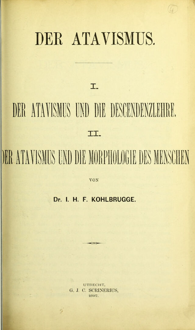 digitised image 1