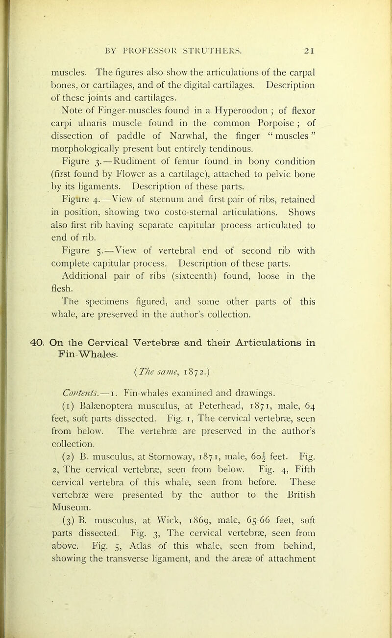 muscles. The figures also show the articulations of the carpal bones, or cartilages, and of the digital cartilages. Description of these joints and cartilages. Note of Finger-muscles found in a Hyperoodon ; of flexor carpi ulnaris muscle found in the common Porpoise; of dissection of paddle of Narwhal, the finger “ muscles ” morphologically present but entirely tendinous. Figure 3.—Rudiment of femur found in bony condition (first found by Flower as a cartilage), attached to pelvic bone by its ligaments. Description of these parts. Figure 4.—View of sternum and first pair of ribs, retained in position, showing two costo-sternal articulations. Shows also first rib having separate capitular process articulated to end of rib. Figure 5.—View of vertebral end of second rib with complete capitular process. Description of these parts. Additional pair of ribs (sixteenth) found, loose in the flesh. The specimens figured, and some other parts of this whale, are preserved in the author’s collection. 40. On the Cervical Vertebrae and their Articulations in Fin-Whales. (The same, 1872.) Contents. — 1. Fin-whales examined and drawings. (1) Baleenoptera musculus, at Peterhead, 1871, male, 64 feet, soft parts dissected. Fig. 1, The cervical vertebrae, seen from below. The vertebrae are preserved in the author’s collection. (2) B. musculus, at Stornoway, 1871, male, 60^ feet. Fig. 2, The cervical vertebrae, seen from below. Fig. 4, Fifth cervical vertebra of this whale, seen from before. These vertebrae were presented by the author to the British Museum. (3) B. musculus, at Wick, 1869, male, 65-66 feet, soft parts dissected. Fig. 3, The cervical vertebrae, seen from above. Fig. 5, Atlas of this whale, seen from behind, showing the transverse ligament, and the areas of attachment