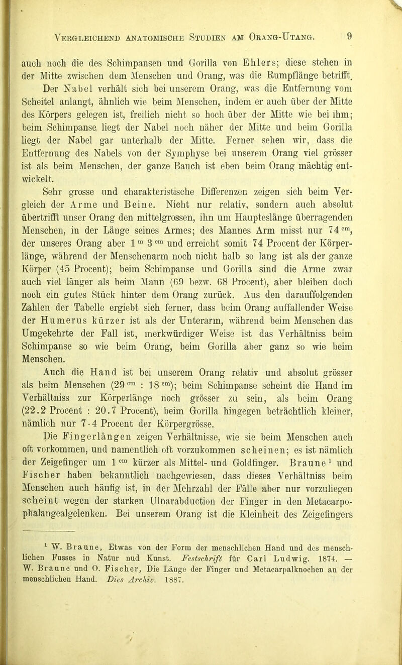 auch noch die des Schimpansen und Giorilla von Ehlers; diese stehen in der Mitte zwischen dem Menschen und Orang, was die Rumpflänge betrifft. Der Nabel verhält sich bei unserem Orang, was die Entfernung vom Scheitel anlangt, ähnlich wie beim Menschen, indem er auch über der Mitte des Körpers gelegen ist, freilich nicht so hoch über der Mitte wie bei ihm; beim Schimpanse liegt der Nabel noch näher der Mitte und beim Gorilla liegt der Nabel gar unterhalb der Mitte. Ferner sehen wir, dass die Entfernung des Nabels von der Symphyse bei unserem Orang viel grösser ist als beim Menschen, der ganze Bauch ist eben beim Orang mächtig ent- wickelt. Sehr grosse und charakteristische Differenzen zeigen sich beim Ver- gleich der Arme und Beine. Nicht nur relativ, sondern auch absolut übertrifft unser Orang den mittelgrossen, ihn um Haupteslänge überragenden Menschen, in der Länge seines Armes; des Mannes Arm misst nur 74'=*, der unseres Orang aber l gcm erreicht somit 74 Procent der Körper- länge, während der Menschenarm noch nicht halb so lang ist als der ganze Körper (45 Procent); beim Schimpanse und Gorilla sind die Arme zwar auch viel länger als beim Mann (69 bezw. 68 Procent), aber bleiben doch noch ein gutes Stück hinter dem Orang zurück. Aus den darauffolgenden Zahlen der Tabelle ergiebt sich ferner, dass beim Orang auffallender Weise der Humerus kürzer ist als der Unterarm, während beim Menschen das Umgekehrte der Fall ist, merkwürdiger Weise ist das Verhältniss beim Schimpanse so wie beim Orang, beim Gorilla aber ganz so wie beim Menschen. Auch die Hand ist bei unserem Orang relativ und absolut grösser als beim Menschen (29*=* : IS***); beim Schimpanse scheint die Hand im Verhältniss zur Körperlänge noch grösser zu sein, als beim Orang (22.2 Procent : 20.7 Procent), beim Gorilla hingegen beträchtlich kleiner, nämlich nur 7 • 4 Procent der Körpergrösse. Die Finger längen zeigen Verhältnisse, wie sie beim Menschen auch oft Vorkommen, und namentlich oft vorzukommen scheinen; es ist nämlich der Zeigefinger um 1 '=* kürzer als Mittel- und Goldfinger. Braune ^ und Fischer haben bekanntlich nachgewiesen, dass dieses Verhältniss beim Menschen auch häufig ist, in der Mehrzahl der Fälle aber nur vorzuliegen scheint wegen der starken Ulnarabductiou der Finger in den Metacarpo- phalangealgelenken. Bei unserem Orang ist die Kleinheit des Zeigefingers * W. Braune, Etwas von der Form der menschlicben Hand und des mensch- lichen Fusses in Natur uud Kunst. Festschrift für Carl Ludwig. 1874. — W. Braune und O. Fischer, Die Länge der Finger und Metacarpalknochen an der menschlichen Hand. Dies Archiv. 1887.