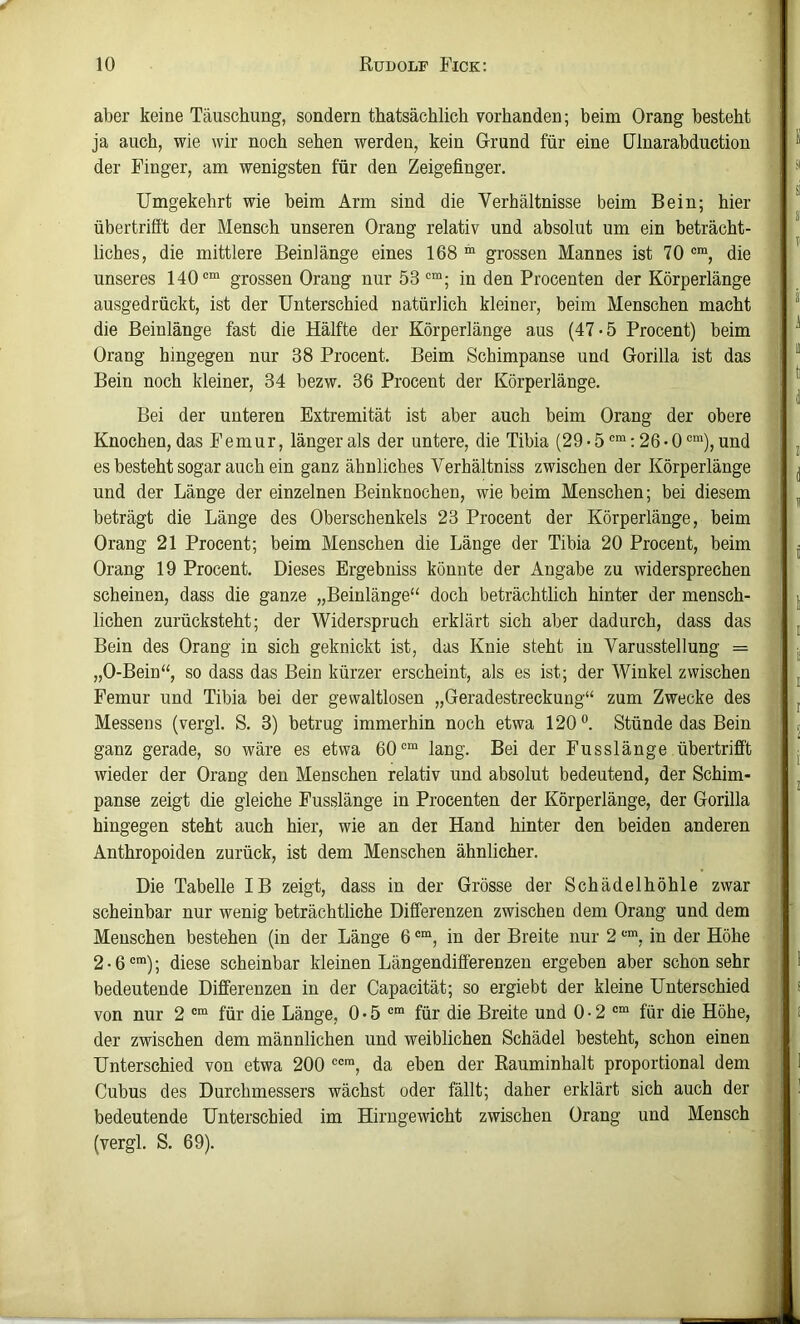 aber keine Täuschung, sondern thatsächlich vorhanden; beim Orang besteht ja auch, wie wir noch sehen werden, kein G-rund für eine ülnarabductiou der Finger, am wenigsten für den Zeigefinger. Umgekehrt wie beim Arm sind die Verhältnisse beim Bein; hier übertrifft der Mensch unseren Orang relativ und absolut um ein beträcht- liches, die mittlere Beinlänge eines 168 “ grossen Mannes ist 70 die unseres 140®“ grossen Orang nur 53 ®“; in den Procenten der Körperlänge ausgedrückt, ist der Unterschied natürlich kleiner, beim Menschen macht die Beinlänge fast die Hälfte der Körperlänge aus (47 • 5 Procent) beim Orang hingegen nur 38 Procent. Beim Schimpanse und Gorilla ist das Bein noch kleiner, 34 bezw. 36 Procent der Körperlänge. Bei der unteren Extremität ist aber auch beim Orang der obere Knochen, das Femur, länger als der untere, die Tibia (29 • 5 ®“: 26 • 0 ®“), und es besteht sogar auch ein ganz ähnliches Verhältniss zwischen der Körperlänge und der Länge der einzelnen Beinknochen, wie beim Menschen; bei diesem beträgt die Länge des Oberschenkels 23 Procent der Körperlänge, beim Orang 21 Procent; beim Menschen die Länge der Tibia 20 Procent, beim Orang 19 Procent. Dieses Ergebniss könnte der Angabe zu widersprechen scheinen, dass die ganze „Beinlänge“ doch beträchtlich hinter der mensch- lichen zurücksteht; der Widerspruch erklärt sich aber dadurch, dass das Bein des Orang in sich geknickt ist, das Knie steht in Varusstellung = „O-Bein“, so dass das Bein kürzer erscheint, als es ist; der Winkel zwischen Femur und Tibia bei der gewaltlosen „Geradestreckung“ zum Zwecke des Messens (vergl. S. 3) betrug immerhin noch etwa 120°. Stünde das Bein ganz gerade, so wäre es etwa 60®“ lang. Bei der Fusslänge übertrifft wieder der Orang den Menschen relativ und absolut bedeutend, der Schim- panse zeigt die gleiche Fusslänge in Procenten der Körperlänge, der Gorilla hingegen steht auch hier, wie an der Hand hinter den beiden anderen Anthropoiden zurück, ist dem Menschen ähnlicher. Die Tabelle IB zeigt, dass in der Grösse der Schädelhöhle zwar scheinbar nur wenig beträchtliche Differenzen zwischen dem Orang und dem Menschen bestehen (in der Länge 6 ®“, in der Breite nur 2 ®“, in der Höhe 2-6®“); diese scheinbar kleinen Längendifferenzen ergeben aber schon sehr bedeutende Differenzen in der Capacität; so ergiebt der kleine Unterschied von nur 2 ®“ für die Länge, 0*5®“ für die Breite und 0 • 2 ®“ für die Höhe, der zwischen dem männlichen und weiblichen Schädel besteht, schon einen Unterschied von etwa 200 ®®“, da eben der Rauminhalt proportional dem Cubus des Durchmessers wächst oder fällt; daher erklärt sich auch der bedeutende Unterschied im Hirngewicht zwischen Orang und Mensch (vergl. S. 69).