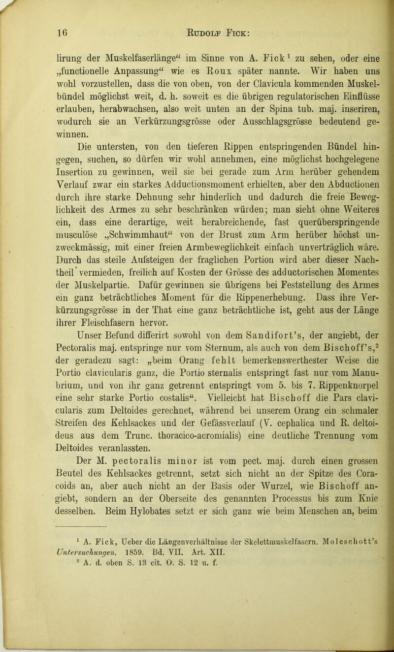 lirung der Muskelfaserlänge“ im Sinne von A. Fick ^ zu sehen, oder eine „functionelle Anpassung“ wie es Roux später nannte. Wir haben uns . wohl vorzustellen, dass die von oben, von der Clavicula kommenden Muskel- bündel möglichst weit, d. h. soweit es die übrigen regulatorischen Einflüsse i erlauben, herabwachsen, also weit unten an der Spina tub. maj. inseriren, ‘ wodurch sie an Verkürzungsgrösse oder Ausschlagsgrösse bedeutend ge- , winnen. ' Die untersten, von den tieferen Rippen entspringenden Bündel hin- ; gegen, suchen, so dürfen wir wohl annehmen, eine möglichst hochgelegene Insertion zu gewinnen, weil sie hei gerade zum Arm herüber gehendem Verlauf zwar ein starkes Adductionsmoment erhielten, aber den Abductiouen durch ihre starke Dehnung sehr hinderlich und dadurch die freie Beweg- lichkeit des Armes zu sehr beschränken würden; man sieht ohne Weiteres ein, dass eine derartige, weit herahreichende, fast querüberspringende musculöse „Schwimmhaut“ von der Brust zum Arm herüber höchst un- zweckmässig, mit einer freien Armbeweglichkeit einfach unverträglich wäre. Durch das steile Aufsteigen der fraglichen Portion wird aber dieser Nach- theil* vermieden, freilich auf Kosten der Grösse des adductorischen Momentes der Muskelpartie. Dafür gewinnen sie übrigens bei Feststellung des Armes , ein ganz beträchtliches Moment für die Rippenerhebung. Dass ihre Ver- ■ kürzungsgrösse in der That eine ganz beträchtliche ist, geht aus der Länge | ihrer Fleischfasern hervor. i Unser Befund differirt sowohl von dem Sandifort’s, der angiebt, der \ Pectoralis maj. entspringe nur vom Sternum, als auch von dem Bischoff’s,^ der geradezu sagt; „beim Drang fehlt bemerkenswerthester Weise die Portio clavicularis ganz, die Portio sternalis entspringt fast nur vom Manu- ' brium, und von ihr ganz getrennt entspringt vom 5. bis 7. Rippenknorpel eine sehr starke Portio costalis“. Vielleicht hat Bisch off die Pars clavi- • cularis zum Deltoides gerechnet, während bei unserem Drang ein schmaler Streifen des Kehlsackes und der Gefässverlauf (V. cephalica und R. deltoi- deus aus dem Trunc. thoracico-acromialis) eine deutliche Trennung vom : Deltoides veranlassten. Der M. pectoralis minor ist vom pect. maj. durch einen grossen Beutel des Kehlsackes getrennt, setzt sich nicht an der Spitze des Cora- coids au, aber auch nicht an der Basis oder Wurzel, wie Bischoff an- giebt, sondern an der Oberseite des genannten Processus bis zum Knie \ desselben. Beim Hylobates setzt er sich ganz wie beim Menschen an, beim ‘ A. Fick, Ueber die LäDgenverliältnisse der Skelettinuskelfasern. Molescliott’s Untersuchungen. 1859. Bd. VII. Art. XII. A. d. oben S. 13 cit. 0. S. 12 u. f.