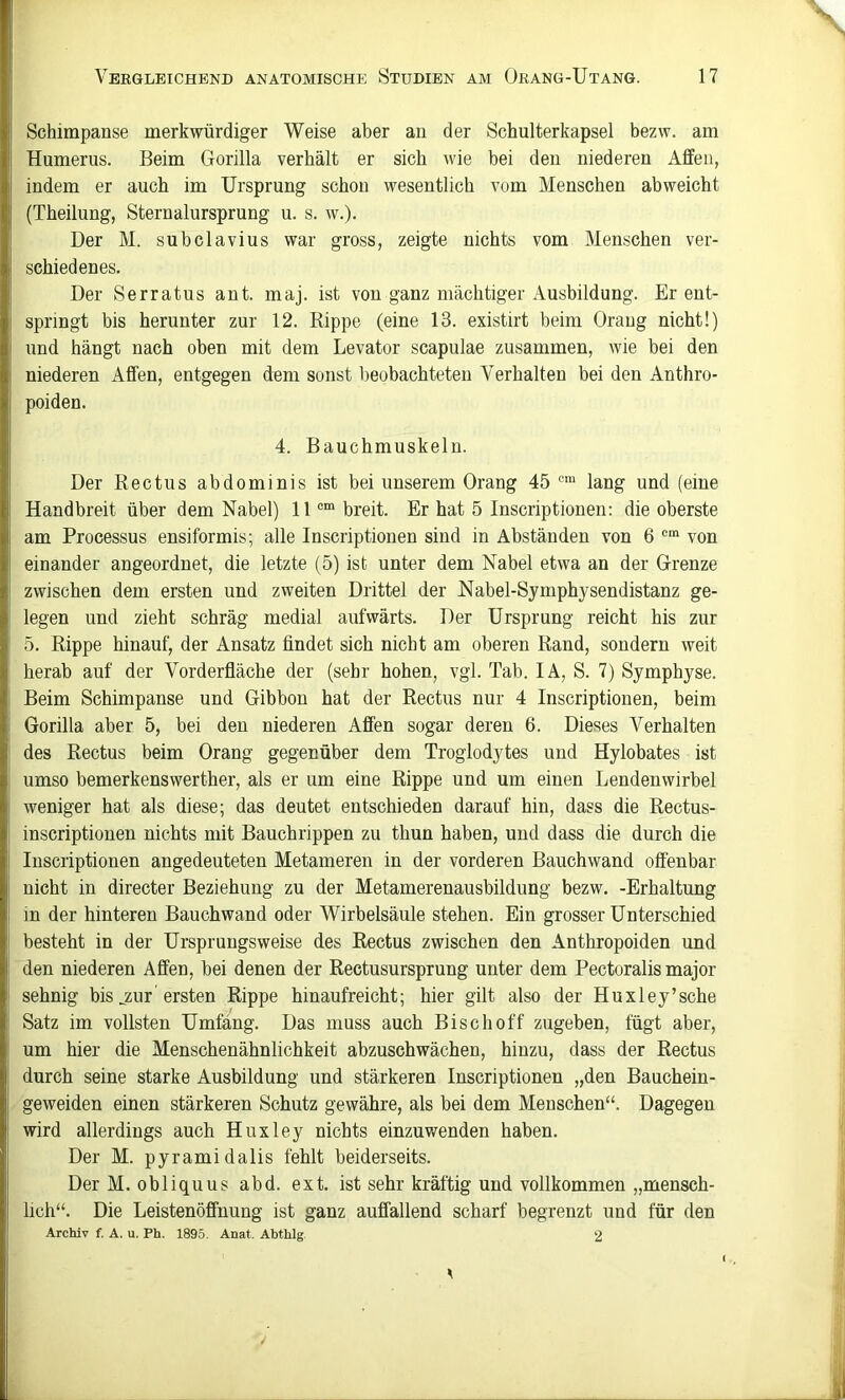 Schimpanse merkwürdiger Weise aber an der Schulterkapsel bezw. am Humerus. Beim Gorilla verhält er sich wie bei den niederen Affen, indem er auch im Ursprung schon wesentlich vom Menschen abweicht (Theilung, Sternalursprung u. s. w.). Der M. subclavius war gross, zeigte nichts vom Menschen ver- schiedenes. Der Serratus ant. maj. ist von ganz mächtiger Ausbildung. Er ent- springt bis herunter zur 12. Rippe (eine 13. existirt beim Orang nicht!) und hängt nach oben mit dem Levator scapulae zusammen, wie bei den niederen Affen, entgegen dem sonst beobachteten Verhalten bei den Anthro- poiden. 4. Bauchmuskeln. Der Rectus abdominis ist bei unserem Orang 45 lang und (eine Handbreit über dem Nabel) 11®“ breit. Br hat 5 Inscriptionen: die oberste am Processus ensiformis; alle Inscriptiouen sind in Abständen von 6 ®“ von einander angeordnet, die letzte (5) ist unter dem Nabel etwa an der Grenze zwischen dem ersten und zweiten Drittel der Nabel-Symphysendistanz ge- legen und zieht schräg medial aufwärts. Der Ursprung reicht bis zur 5. Rippe hinauf, der Ansatz findet sich nicht am oberen Rand, sondern weit herab auf der Vorderfläche der (sehr hohen, vgl. Tab. lA, S. 7) Symphyse. Beim Schimpanse und Gibbon hat der Rectus nur 4 Inscriptionen, beim Gorilla aber 5, bei den niederen Affen sogar deren 6. Dieses Verhalten des Rectus beim Orang gegenüber dem Troglodytes und Hylobates ist umso bemerkenswerther, als er um eine Rippe und um einen Lendenwirbel weniger hat als diese; das deutet entschieden darauf hin, dass die Rectus- inscriptionen nichts mit Bauchrippen zu thun haben, und dass die durch die Inscriptiouen angedeuteten Metameren in der vorderen Bauchwand offenbar nicht in directer Beziehung zu der Metamerenausbildung bezw. -Erhaltung in der hinteren Bauchwand oder Wirbelsäule stehen. Ein grosser Unterschied besteht in der Ursprungs weise des Rectus zwischen den Anthropoiden und den niederen Affen, bei denen der Rectusursprung unter dem Pectoralis major sehnig bis jzur ersten Rippe hinaufreicht; hier gilt also der Huxley’sche Satz im vollsten Umfang. Das muss auch Bisch off zugeben, fügt aber, um hier die Menschenähnlichkeit abzuschwächen, hinzu, dass der Rectus durch seine starke Ausbildung und stärkeren Inscriptionen „den Bauchein- geweiden einen stärkeren Schutz gewähre, als bei dem Menschen“. Dagegen wird allerdings auch Huxley nichts einzuwenden haben. Der M. pyramidalis fehlt beiderseits. Der M. obliquus abd. ext. ist sehr kräftig und vollkommen „mensch- lich“. Die Leistenöffnung ist ganz auffallend scharf begrenzt und für den Archiv f. A. u. Ph. 1895. Anat. Abthlg 2