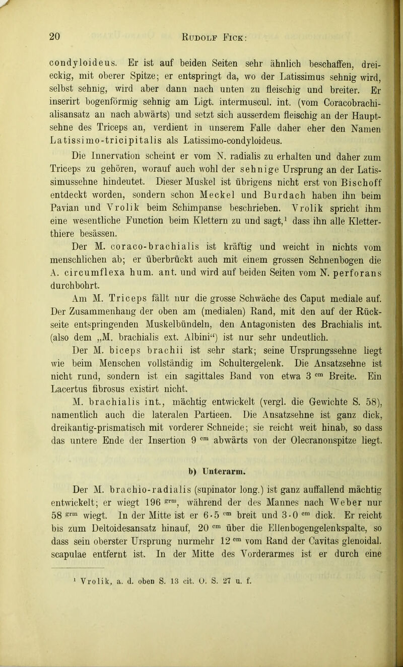 J 20 Rudolf Fick; condyloideus. Er ist auf beiden Seiten sehr ähnlich beschaffen, drei- eckig, mit oberer Spitze; er entspringt da, wo der Latissimus sehnig wird, selbst sehnig, wird aber dann nach unten zu fleischig und breiter. Er inserirt bogenförmig sehnig am Ligt. intermuscul. int. (vom Coracobrachi- alisansatz an nach abwärts) und setzt sich ausserdem fleischig an der Haupt- sehne des Triceps an, verdient in unserem Falle daher eher den Namen Latissimo-tricipitalis als Latissimo-condyloideus. Die Innervation scheint er vom N. radialis zu erhalten und daher zum Triceps zu gehören, worauf auch wohl der sehnige Ursprung an der Latis- simussehne hindeutet. Dieser Muskel ist übrigens nicht erst von Bischoff entdeckt worden, sondern schon Meckel und Burdach haben ihn beim Pavian und Vrolik beim Schimpanse beschrieben. Vrolik spricht ihm eine wesentliche Function beim Klettern zu und sagt,i dass ihn alle Kletter- thiere besässen. Der M. coraco-brachialis ist kräftig und weicht in nichts vom menschlichen ab; er überbrückt auch mit einem grossen Sehnenbogen die A. circumflexa hum. ant. und wird auf beiden Seiten vom N. perforans durchbohrt. Am M. Triceps fällt nur die grosse Schwäche des Caput mediale auf. Der Zusammenhang der oben am (medialen) Rand, mit den auf der Rück- seite entspringenden Muskelbündeln, den Antagonisten des Brachialis int. (also dem „M. brachialis ext. Albini“) ist nur sehr undeutlich. Der M. biceps brachii ist sehr stark; seine Ursprungssehne liegt wie beim Menschen vollständig im Schultergelenk. Die Ansatzsehne ist nicht rund, sondern ist ein sagittales Band von etwa 3 Breite. Ein Lacertus fibrosus existirt nicht. M. brachialis int., mächtig entwickelt (vergl. die Gewichte S. 58), namentlich auch die lateralen Partieen. Die Ansatzsehne ist ganz dick, dreikantig-prismatisch mit vorderer Schneide; sie reicht weit hinab, so dass das untere Ende der Insertion 9 abwärts von der Olecranonspitze liegt. b) Unterarm. Der M. brachio-radialis (supinator long.) ist ganz auffallend mächtig entwickelt; er wiegt 196^’^“, während der des Mannes nach Weber nur 58 wiegt. In der Mitte ist er 6 • 5 breit und 3 • 0 dick. Er reicht bis zum Deltoidesansatz hinauf, 20 ““ über die Ellenbogengelenkspalte, so dass sein oberster Ursprung nurmehr 12 vom Rand der Cavitas glenoidal. Scapulae entfernt ist. In der Mitte des Vorderarmes ist er durch eine