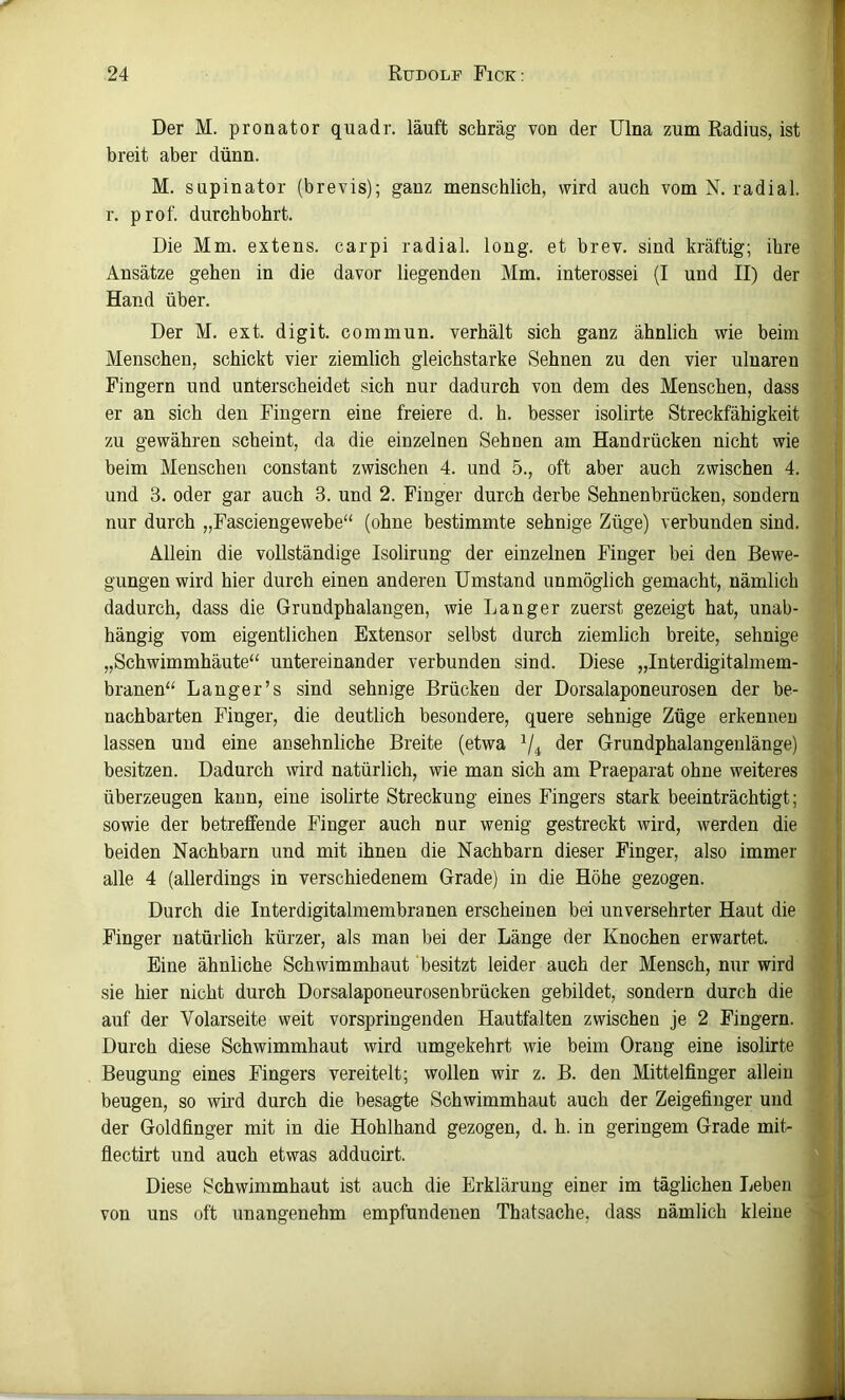 Der M. pronator quadr. läuft schräg von der Ulna zum Radius, ist breit aber dünn. M. Supinator (brevis); ganz menschlich, wird auch vom N. radial, r. prof. durchbohrt. Die Mm. extens. carpi radial, long. et brev. sind kräftig; ihre Ansätze gehen in die davor liegenden Mm. interossei (I und II) der jj Hand über. Der M. ext. digit. commun. verhält sich ganz ähnlich wie beim '' Menschen, schickt vier ziemlich gleichstarke Sehnen zu den vier ulnaren 'j Fingern und unterscheidet sich nur dadurch von dem des Menschen, dass ■ er an sich den Fingern eine freiere d. h. besser isolirte Streckfähigkeit j zu gewähren scheint, da die einzelnen Sehnen am Handrücken nicht wie H beim Menschen constant zwischen 4. und 5., oft aber auch zwischen 4. und 3. oder gar auch 3. und 2. Finger durch derbe Sehnenbrücken, sondern t nur durch „Fasciengewebe“ (ohne bestimmte sehnige Züge) verbunden sind. | Allein die vollständige Isolirung der einzelnen Finger bei den Bewe- j' gungen wird hier durch einen anderen Umstand unmöglich gemacht, nämlich dadurch, dass die Grundphalangen, wie Langer zuerst gezeigt hat, unab- | hängig vom eigentlichen Extensor selbst durch ziemlich breite, sehnige „Schwimmhäute“ untereinander verbunden sind. Diese „Interdigitalmem- branen“ Langer’s sind sehnige Brücken der Dorsalaponeurosen der be- nachbarten Finger, die deutlich besondere, quere sehnige Züge erkennen | lassen und eine ansehnliche Breite (etwa V4 *i6r Grundphalangenlänge) besitzen. Dadurch wird natürlich, wie man sich am Praeparat ohne weiteres überzeugen kann, eine isolirte Streckung eines Fingers stark beeinträchtigt; sowie der betreffende Finger auch nur wenig gestreckt wird, werden die beiden Nachbarn und mit ihnen die Nachbarn dieser Finger, also immer alle 4 (allerdings in verschiedenem Grade) in die Höhe gezogen. Durch die Interdigitalmembranen erscheinen bei unversehrter Haut die Finger natürlich kürzer, als man bei der Länge der Knochen erwartet. l Eine ähnliche Schwimmhaut besitzt leider auch der Mensch, nur wird l'. sie hier nicht durch Dorsalaponeurosenbrücken gebildet, sondern durch die auf der Volarseite weit vorspringenden Hautfalten zwischen je 2 Fingern. - Durch diese Schwimmhaut wird umgekehrt wie beim Orang eine isolirte Beugung eines Fingers vereitelt; wollen wir z. B. den Mittelfinger allein beugen, so wird durch die besagte Schwimmhaut auch der Zeigefinger und der Goldfinger mit in die Hohlhand gezogen, d. h. in geringem Grade mit- < ' flectirt und auch etwas adducirt. Diese Schwimmhaut ist auch die Erklärung einer im täglichen Leben ^ von uns oft unangenehm empfundenen Thatsache, dass nämlich kleine 'ji-