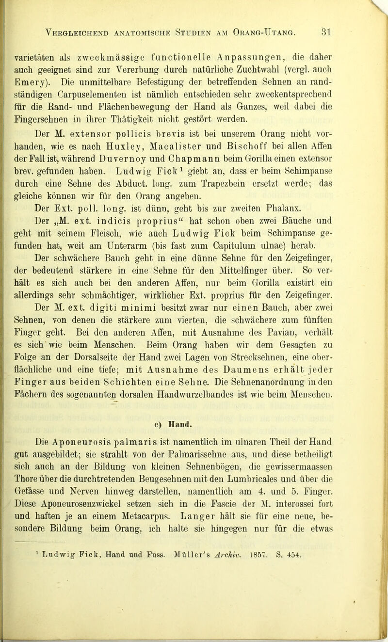 Varietäten als zweckmässige functionelle Anpassungen, die daher auch geeignet sind zur Vererbung durch natürliche Zuchtwahl (vergl. auch Emery). Die unmittelbare Befestigung der betreffenden Sehnen an rand- ständigen Carpuselementen ist nämlich entschieden sehr zweckentsprechend für die Rand- und Flächenbewegung der Hand als Ganzes, weil dabei die Fingersehnen in ihrer Thätigkeit nicht gestört werden. Der M. extensor pollicis brevis ist bei unserem Orang nicht vor- handen, wie es nach Huxley, Macalister und Bischoff bei allen Affen der Fall ist, während Duvernoy und Chapmann beim Gorilla einen extensor brev. gefunden haben. Ludwig Fick ^ giebt an, dass er heim Schimpanse durch eine Sehne des Abduct. long. zum Trapezbein ersetzt werde; das gleiche können wir für den Orang angeben. Der Ext. poll. long. ist dünn, geht bis zur zweiten Phalanx. Der „M. ext. indicis proprius“ hat schon oben zwei Bäuche und geht mit seinem Fleisch, wie auch Ludwig Fick beim Schimpanse ge- funden hat, weit am Unterarm (bis fast zum Capitulum ulnae) herab. Der schwächere Bauch geht in eine dünne Sehne für den Zeigefinger, der bedeutend stärkere in eine Sehne für den Mittelfinger über. So ver- hält es sich auch bei den anderen Affen, nur beim Gorilla existirt ein allerdings sehr schmächtiger, wirklicher Ext. proprius für den Zeigefinger. Der M. ext. digiti minimi besitzt zwar nur einen Bauch, aber zwei Sehnen, von denen die stärkere zum vierten, die schwächere zum fünften Finger geht. Bei den anderen Affen, mit Ausnahme des Pavian, verhält es sich' wie beim Menschen. Beim Orang haben wir dem Gesagten zu Folge an der Dorsalseite der Hand zwei Lagen von Strecksehnen, eine ober- fiächliche und eine tiefe; mit Ausnahme des Daumens erhält jeder Finger aus beiden Schichten eine Sehne. Die Sehnenanordnung in den Fächern des sogenannten dorsalen Handwurzelbandes ist wie beim Menschen. c) Hand. Die Aponeurosis palmaris ist namentlich im ulnaren Theil der Hand gut ausgebildet; sie strahlt von der Palmarissehne aus, und diese betheiligt sich auch an der Bildung von kleinen Sehnenbögen, die gewissermaassen Thore über die durchtretenden Beugesehnen mit den Lumbricales und über die Gefässe und Nerven hinweg darstellen, namentlich am 4. und 5. Finger. Diese Aponeurosenzwickel setzen sich in die Fascie der M. interossei fort und haften je an einem Metacarpus. Langer hält sie für eine neue, be- sondere Bildung beim Orang, ich halte sie hingegen nur für die etwas