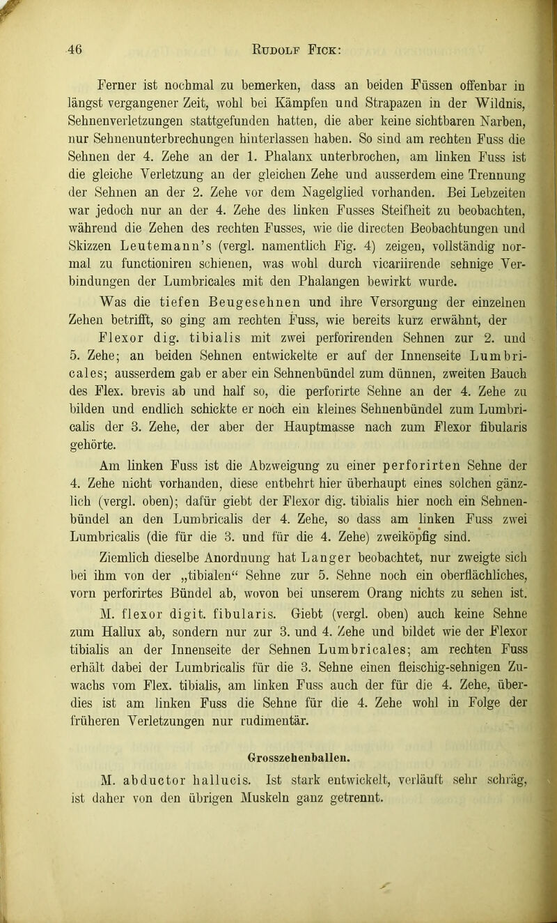 Ferner ist nochmal zu bemerken, dass an beiden Füssen offenbar in längst vergangener Zeit, wohl bei Kämpfen und Strapazen in der Wildnis, Sebnenverletzungen stattgefunden hatten, die aber keine sichtbaren Narben, nur Sehnenunterbrechungen hiuterlassen haben. So sind am rechten Fuss die Sehnen der 4. Zehe an der 1. Phalanx unterbrochen, am linken Fuss ist die gleiche Verletzung an der gleichen Zehe und ausserdem eine Trennung der Sehnen an der 2. Zehe vor dem Nagelglied vorhanden. Bei Lebzeiten war jedoch nur an der 4. Zehe des linken Fusses Steifheit zu beobachten, während die Zehen des rechten Fusses, wie die directen Beobachtungen und Skizzen Leutemann’s (vergl. namentlich Fig. 4) zeigen, vollständig nor- mal zu functioniren schienen, was wohl durch vicariirende sehnige Ver- bindungen der Lumbricales mit den Phalangen bewirkt wurde. Was die tiefen Beugesehnen und ihre Versorgung der einzelnen Zehen betrifft, so ging am rechten Fuss, wie bereits kurz erwähnt, der Flexor dig. tibialis mit zwei perforirenden Sehnen zur 2. und 5. Zehe; an beiden Sehnen entwickelte er auf der Innenseite Lumbri- cales; ausserdem gab er aber ein Sehnenbündel zum dünnen, zweiten Bauch des Flex. brevis ab und half so, die perforirte Sehne an der 4. Zehe zu bilden und endlich schickte er noch ein kleines Sehnenbündel zum Lumbri- calis der 3. Zehe, der aber der Hauptmasse nach zum Flexor fibularis gehörte. Am linken Fuss ist die Abzweigung zu einer perforirten Sehne der 4. Zehe nicht vorhanden, diese entbehrt hier überhaupt eines solchen gänz- lich (vergl. oben); dafür giebt der Flexor dig. tibialis hier noch ein Sehnen- bündel an den Lumbricalis der 4. Zehe, so dass am linken Fuss zwei Lumbricalis (die für die 3. und für die 4. Zehe) zweiköpfig sind. Ziemlich dieselbe Anordnung hat Langer beobachtet, nur zweigte sich bei ihm von der „tibialen“ Sehne zur 5. Sehne noch ein oberflächliches, vorn perforirtes Bündel ab, wovon bei unserem Orang nichts zu sehen ist. M. flexor digit. fibularis. Giebt (vergl. oben) auch keine Sehne zum Hallux ab, sondern nur zur 3. und 4. Zehe und bildet wie der Flexor tibialis an der Innenseite der Sehnen Lumbricales; am rechten Fuss erhält dabei der Lumbricalis für die 3. Sehne einen fleischig-sehnigen Zu- wachs vom Flex. tibialis, am linken Fuss auch der für die 4. Zehe, über- dies ist am linken Fuss die Sehne für die 4. Zehe wohl in Folge der früheren Verletzungen nur rudimentär. Urosszehenballen. M. abductor hallucis. Ist stark entwickelt, verläuft sehr schräg, ist daher von den übriaen Muskeln aanz aetrennt.
