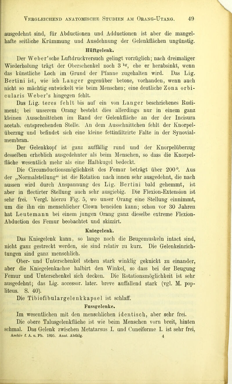 ausgedehnt sind, für Abductionen und Adductionen ist aber die mangel- hafte seitliche Krümmung und Ausdehnung der Gelenkflächen ungünstig. Hüftgelenk. Der Web er'sehe Luftdruckversuch gelingt vorzüglich; nach dreimaliger Wiederholung trägt der Oberschenkel noch 3 ehe er herabsinkt, wenn das künstliche Loch im Grund der Pfanne zugehalten wird. Das Lig. Bertini ist, wie ich Langer gegenüber betone, vorhanden, wenn auch nicht so mächtig entwickelt wie beim Menschen; eine deutliche Zona orbi- cularis Weber’s hingegen fehlt. Das Lig. teres fehlt bis auf ein von Langer beschriebenes Rudi- ment; bei unserem Orang' besteht dies allerdings nur in einem ganz kleinen Ausschnittchen im Rand der Gelenkfläche an der der Incisura acetab. entsprechenden Stelle. An dem Ausschnittchen fehlt der Knorpel- Überzug und befindet sich eine kleine fettinfiltrirte Falte in der Synovial- membran. Der Gelenkkopf ist ganz auffällig rund und der Knorpelüberzug desselben erheblich ausgedehnter als beim Menschen, so dass die Knorpel- fiäche wesentlich mehr als eine Halbkugel bedeckt. Die Circumductionsmöglichkeit des Femur beträgt über 200 Aus der „Normalstellung“ ist die Rotation nach innen sehr ausgedehnt, die nach aussen wird durch Anspannung des Lig. Bertini bald gehemmt, ist aber in fiectirter Stellung auch sehr ausgiebig. Die Flexion-Extension ist sehr frei. Vergl. hierzu Fig. 5, wo unser Orang eine Stellung einnimmt, um die ihn ein menschlicher Clown beneiden kann; schon vor 30 Jahren hat Leutemann bei einem jungen Orang ganz dieselbe extreme Flexion- Abduction des Femur beobachtet und skizzirt. Kniegelenk. Das Kniegelenk kann, so lange noch die Beugemuskeln intact sind, nicht ganz gestreckt werden, sie sind relativ zu kurz. Die Gelenkeinrich- tungen sind ganz menschlich. Ober- und Unterschenkel stehen stark winklig geknickt zu einander, aber die Kniegelenkachse halbirt den Winkel, so dass bei der Beugung Femur und Unterschenkel sich decken. Die Rotationsmöglichkeit ist sehr ausgedehnt; das Lig. accessor. later, breve auffallend stark (vgl. M. pop- liteus. S. 40). Die Tibiofibulargelenkkapsel ist schlaff. Fassgelenke. Im wesentlichen mit den menschlichen identisch, aber sehr frei. Die obere Taliisgelenkfiäche ist wie beim Menschen vorn breit, hinten schmal. Das Gelenk zwischen Metatarsus I. und Cuueiforme I. ist sehr frei, Archiv f. A. u. Ph. 1896. Anat. Abthlg. 4