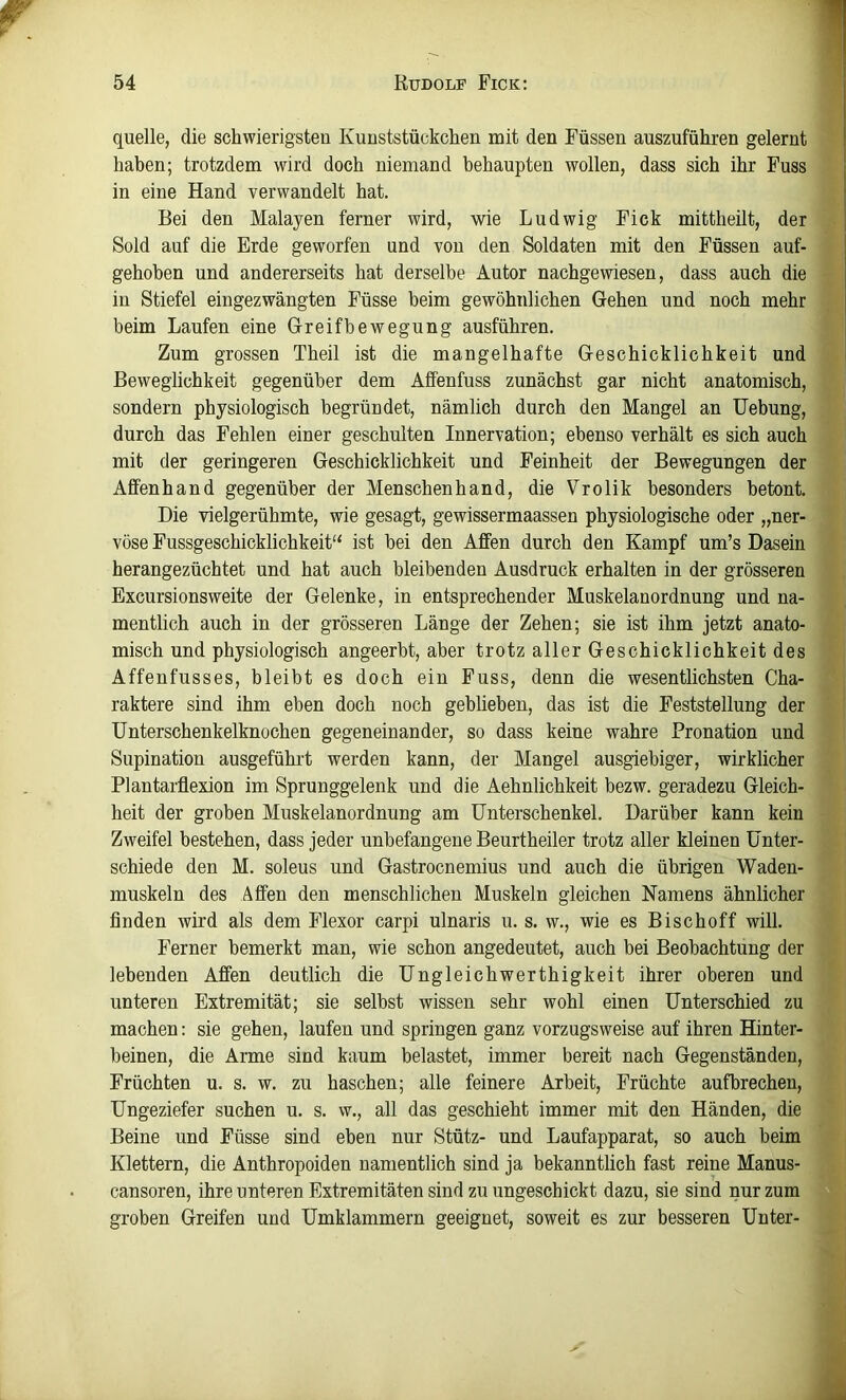 quelle, die schwierigsteu Kunststückchen mit den Füssen auszuführen gelernt haben; trotzdem wird doch niemand behaupten wollen, dass sich ihr Fuss in eine Hand verwandelt hat. Bei den Malayen ferner wird, wie Ludwig Fick mittheilt, der Sold auf die Erde geworfen und von den Soldaten mit den Füssen auf- gehoben und andererseits hat derselbe Autor nachgewiesen, dass auch die in Stiefel eingezwängten Füsse beim gewöhnlichen Gehen und noch mehr beim Laufen eine Greifbewegung ausführen. Zum grossen Theil ist die mangelhafte Geschicklichkeit und Beweglichkeit gegenüber dem Affenfuss zunächst gar nicht anatomisch, sondern physiologisch begründet, nämlich durch den Mangel an TJebung, durch das Fehlen einer geschulten Innervation; ebenso verhält es sich auch mit der geringeren Geschicklichkeit und Feinheit der Bewegungen der Affenhand gegenüber der Menschenhand, die Vrolik besonders betont. Die vielgerühmte, wie gesagt, gewissermaassen physiologische oder „ner- vöse Fussgeschicklichkeit“ ist hei den Affen durch den Kampf um’s Dasein herangezüchtet und hat auch bleibenden Ausdruck erhalten in der grösseren Excursionsweite der Gelenke, in entsprechender Muskelanordnung und na- mentlich auch in der grösseren Länge der Zehen; sie ist ihm jetzt anato- misch und physiologisch angeerbt, aber trotz aller Geschicklichkeit des Affenfusses, bleibt es doch ein Fuss, denn die wesentlichsten Cha- raktere sind ihm eben doch noch geblieben, das ist die Feststellung der Unterschenkelknochen gegeneinander, so dass keine wahre Pronation und Supination ausgeführt werden kann, der Mangel ausgiebiger, wirklicher Plantarflexion im Sprunggelenk und die Aehnlichkeit bezw. geradezu Gleich- heit der groben Muskelanordnung am Unterschenkel. Darüber kann kein Zweifel bestehen, dass jeder unbefangene Beurtheiler trotz aller kleinen Unter- schiede den M. soleus und Gastrocnemius und auch die übrigen Waden- muskeln des Affen den menschlichen Muskeln gleichen Namens ähnlicher finden wird als dem Flexor carpi ulnaris u. s. w., wie es Bischoff will. Ferner bemerkt man, wie schon angedeutet, auch bei Beobachtung der lebenden Affen deutlich die Ungleichwerthigkeit ihrer oberen und unteren Extremität; sie seihst wissen sehr wohl einen Unterschied zu machen: sie gehen, laufen und springen ganz vorzugsweise auf ihren Hinter- beinen, die Arme sind kaum belastet, immer bereit nach Gegenständen, Früchten u. s. w. zu haschen; alle feinere Arbeit, Früchte aufbrechen, Ungeziefer suchen u. s. w., all das geschieht immer mit den Händen, die Beine und Füsse sind eben nur Stütz- und Laufapparat, so auch beim Klettern, die Anthropoiden namentlich sind ja bekanntlich fast reine Manus- cansoren, ihre unteren Extremitäten sind zu ungeschickt dazu, sie sind nur zum groben Greifen und Umklammern geeignet, soweit es zur besseren Unter-
