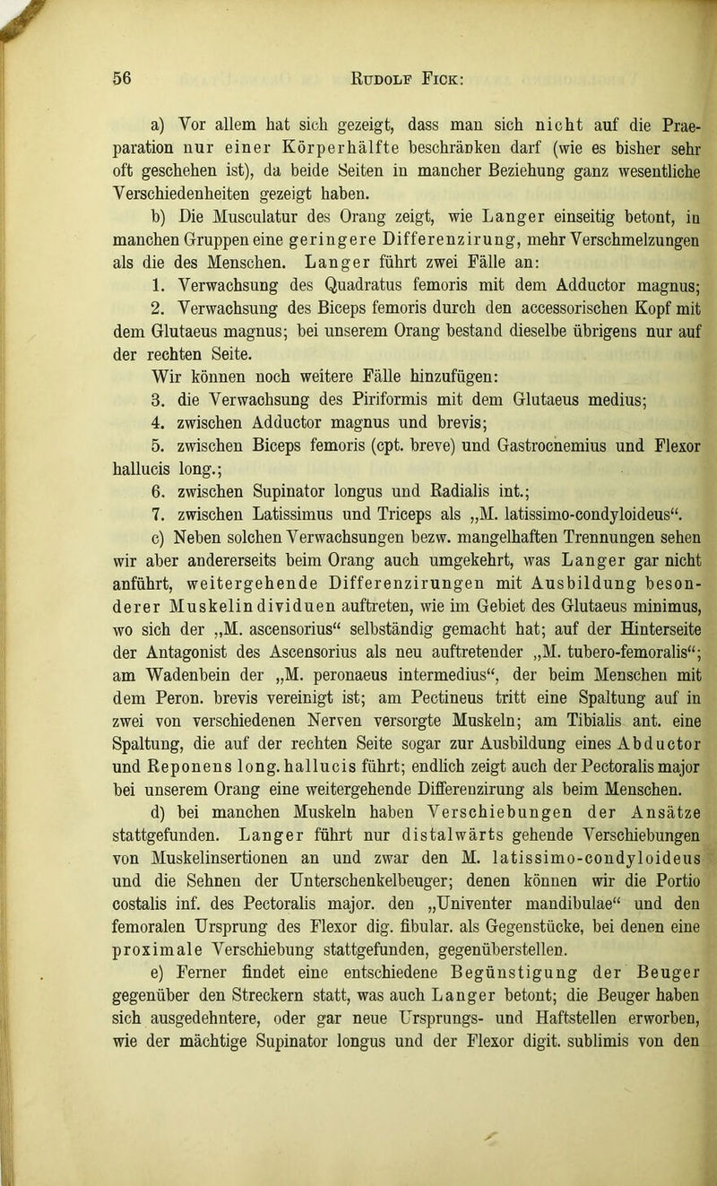 a) Vor allem hat sich gezeigt, dass man sich nicht auf die Prae- paration nur einer Körper hälfte beschränken darf (wie es bisher sehr oft geschehen ist), da beide Seiten in mancher Beziehung ganz wesentliche Verschiedenheiten gezeigt haben. h) Die Musculatur des Drang zeigt, wie Langer einseitig betont, in manchen Gruppen eine geringere Differenzirung, mehr Verschmelzungen als die des Menschen. Langer führt zwei Fälle an; 1. Verwachsung des Quadratus femoris mit dem Adductor magnus; 2. Verwachsung des Biceps femoris durch den accessorischen Kopf mit dem Glutaeus magnus; bei unserem Drang bestand dieselbe übrigens nur auf der rechten Seite. Wir können noch weitere Fälle hinzufügen; 3. die Verwachsung des Piriformis mit dem Glutaeus medius; 4. zwischen Adductor magnus und brevis; 5. zwischen Biceps femoris (cpt. breve) und Gastrocnemius und Flexor hallucis long.; 6. zwischen Supinator longus und Radialis int.; 7. zwischen Latissimus und Triceps als „M. latissimo-condyloideus“. c) Neben solchen Verwachsungen bezw. mangelhaften Trennungen sehen wir aber andererseits beim Drang auch umgekehrt, was Langer gar nicht anführt, weitergehende Differenzirungen mit Ausbildung beson- derer Muskelindividuen auftreten, wie im Gebiet des Glutaeus minimus, wo sich der „M. ascensorius“ selbständig gemacht hat; auf der Hinterseite der Antagonist des Ascensorius als neu auftretender „M. tubero-femoralis“; am Wadenbein der „M. peronaeus intermedius“, der beim Menschen mit dem Peron. brevis vereinigt ist; am Pectineus tritt eine Spaltung auf in zwei von verschiedenen Nerven versorgte Muskeln; am Tibiahs ant. eine Spaltung, die auf der rechten Seite sogar zur Ausbildung eines Abductor und Reponens long. hallucis führt; endlich zeigt auch der Pectoralis major bei unserem Drang eine weitergehende Differenzirung als beim Menschen. d) bei manchen Muskeln haben Verschiebungen der Ansätze stattgefunden. Langer führt nur distalwärts gehende Verschiebungen von Muskelinsertionen an und zwar den M. latissimo-condyloideus und die Sehnen der Unterschenkelbeuger; denen können wir die Portio costalis inf. des Pectoralis major. den „Univenter mandibulae“ und den femoralen Ursprung des Flexor dig. fibular. als Gegenstücke, bei denen eine proximale Verschiebung stattgefunden, gegenüberstellen. e) Ferner findet eine entschiedene Begünstigung der Beuger gegenüber den Streckern statt, was auch Langer betont; die Beuger haben sich ausgedehntere, oder gar neue Ursprungs- und Haftstellen erworben, wie der mächtige Supinator longus und der Flexor digit. sublimis von den