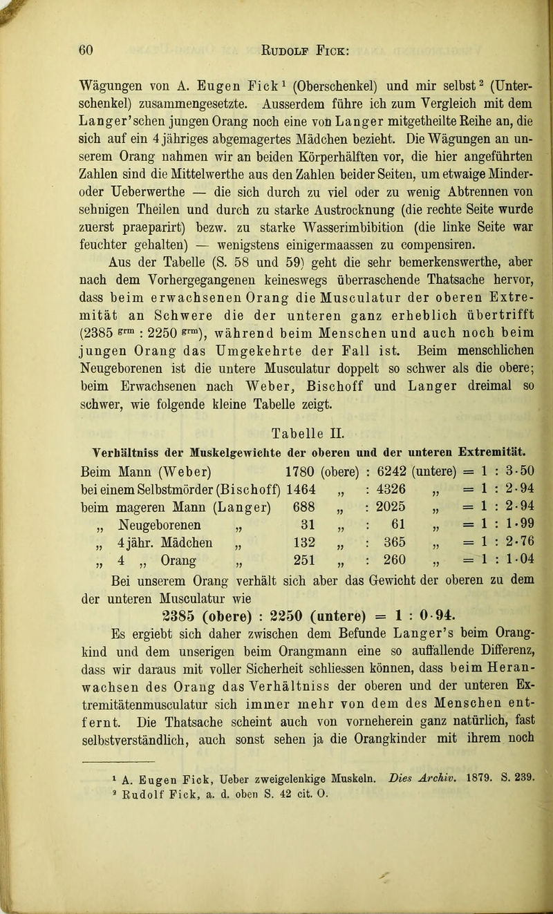 Wägungen von A. Eugen Fick^ (Oberschenkel) und mir selbst^ (Unter- schenkel) zusammengesetzte. Ausserdem führe ich zum Vergleich mit dem Langer’schen jungen Orang noch eine von Langer mitgetheilte Reihe an, die sich auf ein 4 jähriges abgemagertes Mädchen bezieht. Die Wägungen an un- serem Orang nahmen wir an beiden Körperhälften vor, die hier angeführten Zahlen sind die Mittelwerthe aus den Zahlen beider Seiten, um etwaige Minder- oder Ueberwerthe — die sich durch zu viel oder zu wenig Ab trennen von sehnigen Theilen und durch zu starke Austrocknung (die rechte Seite wurde zuerst praeparirt) bezw. zu starke Wasserimbibition (die linke Seite war ! feuchter gehalten) — wenigstens einigermaassen zu compensiren. Aus der Tabelle (S. 58 und 59) geht die sehr bemerkenswerthe, aber nach dem Vorhergegangenen keineswegs überraschende Thatsache hervor, dass beim erwachsenen Orang die Musculatur der oberen Extre- mität an Schwere die der unteren ganz erheblich übertrifft (2385 : 2250 ^™), während beim Menschen und auch noch beim jungen Orang das Umgekehrte der Fall ist. Beim menschlichen Neugeborenen ist die untere Musculatur doppelt so schwer als die obere; beim Erwachsenen nach Weber, Bischoff und Langer dreimal so schwer, wie folgende kleine Tabelle zeigt. Tabelle II. Verhältniss der Muskelgewichte der oberen und der unteren Extremität. Beim Mann (Weber) 1780 (obere) 6242 (untere) = 1 3 50 bei einem Selbstmörder (Bischoff) 1464 4326 J? “ 1 2 94 beim mageren Mann (Langer) 688 )> 2025 ?) “ 1 2 94 „ Neugeborenen „ 31 )? 61 ?? ” 1 1 99 „ 4jähr. Mädchen „ 132 365 ?? “ 1 2 76 „ 4 „ Orang „ 251 260 1 1 04 Bei unserem Orang verhält sich aber das Oewicht der oberen zu dem der unteren Musculatur wie 3385 (obere) : 2250 (untere) = 1 : 0-94. Es ergiebt sich daher zwischen dem Befunde Lang er’s beim Orang- kind und dem unserigen beim Orangmann eine so auffallende Differenz, dass wir daraus mit voller Sicherheit schhessen können, dass beim Heran- wachsen des Orang das Verhältniss der oberen und der unteren Ex- tremitätenmusculatur sich immer mehr von dem des Menschen ent- fernt. Die Thatsache scheint auch von vorneherein ganz natürlich, fast selbstverständlich, auch sonst sehen ja die Orangkinder mit ihrem noch ‘ A. Eugen Fick, lieber zweigelenkige Muskeln. Dies Archiv, 1879. S. 239. ® Rudolf Pick, a. d. oben S. 42 cit. 0.