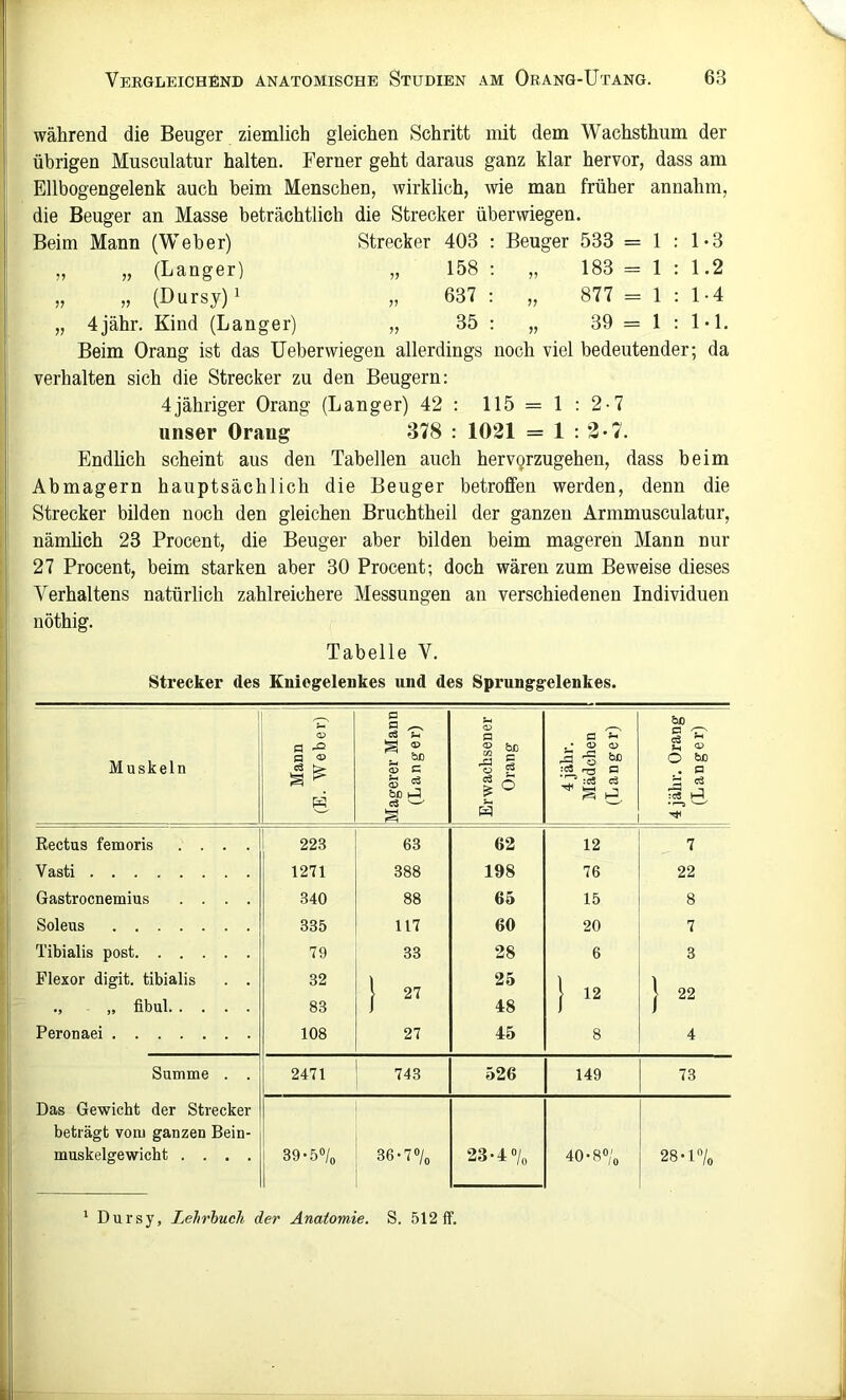 Beuger 533 = 1 „ 183 = 1 „ 877 == 1 39 = 1 1-3 1.2 1-4 1-1. während die Beuger ziemlich gleichen Schritt mit dem Wachsthum der übrigen Musculatur halten. Ferner geht daraus ganz klar hervor, dass am Ellbogengelenk auch beim Menschen, wirklich, wie man früher annahm, die Beuger an Masse beträchtlich die Strecker überwiegen Beim Mann (Weber) Strecker 403 „ „ (Langer) „ 158 „ „ (Dursy)i „ 637 „ 4jähr. Kind (Langer) „ 35 Beim Orang ist das Ueberwiegen allerdings noch viel bedeutender; da verhalten sich die Strecker zu den Beugern: 4jähriger Orang (Langer) 42 : 115 =1:2-7 unser Orang 378 : 1021 = 1 : 2*7. Endüch scheint aus den Tabellen auch hervQrzugehen, dass beim Ab magern hauptsächlich die Beuger betroffen werden, denn die Strecker bilden noch den gleichen Bruchtheil der ganzen Armmusculatur, nämhch 23 Procent, die Beuger aber bilden beim mageren Mann nur 27 Procent, beim starken aber 30 Procent; doch wären zum Beweise dieses Verhaltens natürlich zahlreichere Messungen an verschiedenen Individuen nöthig. Tabelle V. Strecker des Kniegelenkes und des Sprunggelenkes. 1 0 bo O Ö ^ c3 'u p fl ^ S-* 2 fl S Muskeln p <ü c3 - 1 'S o bo • fl g «3 boJ, O :cä c3 H. 1 Rectus femoris .... 223 63 62 12 7 Vasti 1271 388 198 76 22 Gastrocnemius .... 340 88 65 15 8 Soleus 335 117 60 20 7 Tibialis post 79 33 28 6 3 Flexor digit. tibialis . . 32 l 27 25 1 J 22 ., „ fibul 83 1 48 1 Peronaei 108 27 45 8 4 Summe . . 2471 743 526 149 73 Das Gewicht der Strecker beträgt vom ganzen Bein- muskelgewicht .... 39-5«/o 36-7«/„ 23-4% 40-8% 28-170 * Dursy, Lehrbuch der Anatomie, S. 512 ff.