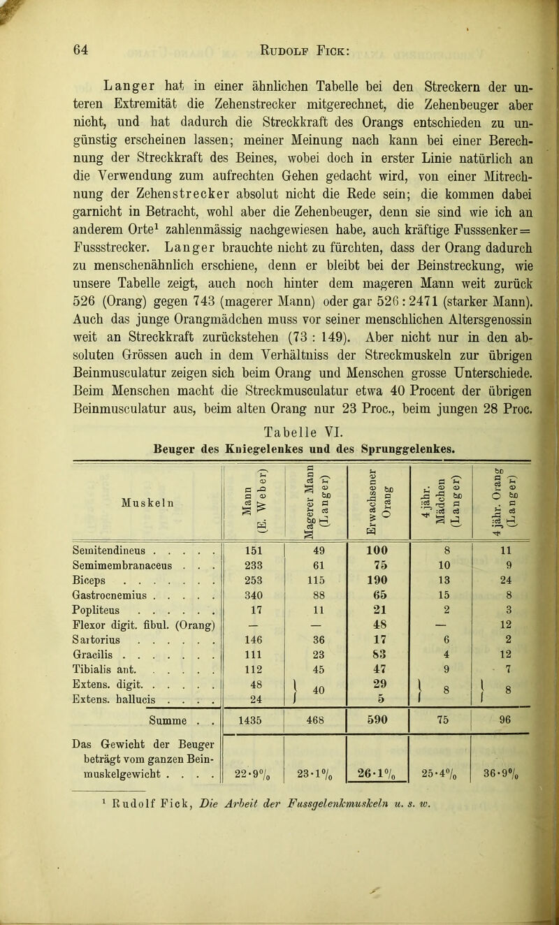 Langer hat in einer ähnlichen Tabelle bei den Streckern der un- teren Extremität die Zehenstrecker mitgerechnet, die Zehenbeuger aber nicht, und hat dadurch die Streckkraft des Orangs entschieden zu un- günstig erscheinen lassen; meiner Meinung nach kann bei einer Berech- nung der Streckkraft des Beines, wobei doch in erster Linie natürlich an die Verwendung zum aufrechten Gehen gedacht wird, von einer Mitrech- nung der Zehen Strecker absolut nicht die Rede sein; die kommen dabei garnicht in Betracht, wohl aber die Zehenbeuger, denn sie sind wie ich an anderem Orte^ zahlenmässig nachgewiesen habe, auch kräftige Fusssenker= Fussstrecker. Langer brauchte nicht zu fürchten, dass der Orang dadurch zu menschenähnlich erschiene, denn er bleibt bei der Beinstreckung, wie unsere Tabelle zeigt, auch noch hinter dem mageren Mann weit zurück 526 (Orang) gegen 743 (magerer Mann) oder gar 526:2471 (starker Mann). Auch das junge Orangmädchen muss vor seiner menschlichen Altersgenossin weit an Streckkraft zurückstehen (73 : 149). Aber nicht nur in den ab- soluten Grössen auch in dem Verhältniss der Streckmuskeln zur übrigen Beinmusculatur zeigen sich beim Orang und Menschen grosse Unterschiede. Beim Menschen macht die Streckmusculatur etwa 40 Procent der übrigen Beinmusculatur aus, beim alten Orang nur 23 Proc., beim jungen 28 Proc. Tabelle VI. Beuger des Kuiegelenkes und des Sprunggelenkes. Muskeln Mann (E. Weher) Magerer Mann (Langer) Erwachsener Orang 4 jähr. Mädchen (Langer) 4 jähr. Orang (Langer) Semitendineus 151 49 100 8 11 Semimembranaceus . . . 233 61 75 10 9 Biceps 253 115 190 13 24 Gastrocnemius 340 88 65 15 8 Popliteus 17 11 21 2 3 Flexor digit. fibul. (Orang) — — 48 — 12 Sartorius 146 36 17 6 2 Gracilis 111 23 83 4 12 Tibialis ant 112 45 47 9 7 Extens. digit 48 1 40 29 1 8 } « Extens. ballucis .... 24 5 Summe . . 1435 468 590 75 96 Das Gewicht der Beuger beträgt vom ganzen Bein- muskelgewicht .... 22-9% 23-l»/„ 26-l«/o 25-4“/o 36-9«/o ' Rudolf Fick, Die Arbeit der Fussgelenkmusheln u. s. w.