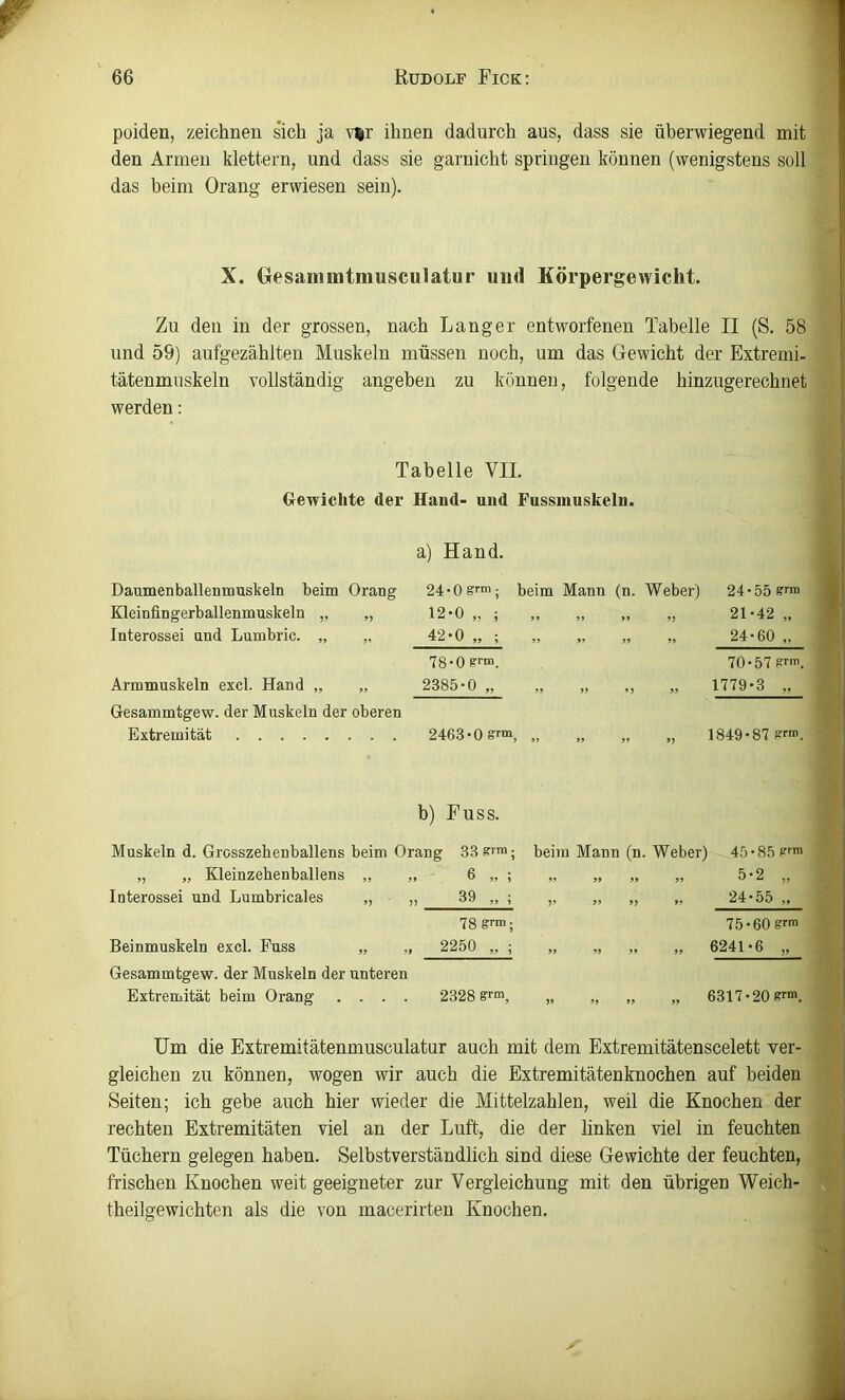 poidea, zeichnen sich ja ihnen dadurch aus, dass sie überwiegend mit den Armen klettern, und dass sie garnicht springen können (wenigstens soll das beim Orang erwiesen sein). X. (xesammtmusculatur imd Körpergewicht. Zu den in der grossen, nach Langer entworfenen Tabelle II (S. 58 und 59) aufgezählten Muskeln müssen noch, um das Gewicht der Extremi- tätenmuskeln vollständig angeben zu können, folgende hinzugerechnet werden: Tabelle VII. Gewichte der Hand- und Fussmuskeln. a) Hand. Daumenballenmuskeln beim Orang Kleinfingerballenmuskeln „ „ Interesse! und Lumbric. „ Armmuskeln excl. Hand „ „ Gesammtgew. der Muskeln der oberen Extremität 24-0^™; beim Mann (n. Weber) 24-55 ?f™ 12-0 „ ; 42-0 „ ; 78-0 e™. 2385-0 „ 2463-0 gf“ 21-42 „ 24-60 „ 70-57 s™. 1779-3 „ 1849-87 ! b) Fuss. Muskeln d. Grosszebenballens beim Orang 33 „ „ Kleinzehenballens „ „ 6 „ Interesse! und Lumbricales „ „ 39 „ 78 Beinmuskeln excl. Puss „ „ 2250 „ Gesammtgew. der Muskeln der unteren Extremität beim Orang .... 2328 beim Mann (n. Weber) 45-85 p™ 9» 99 7* 99 9} 99 99 »» 79 99 99 5-2 „ 24-55 „ 75-60 gf™ 6241-6 „ 6317-20 g™. Um die Extremitätenmusculatur auch mit dem Extremitätenscelett ver- gleichen zu können, wogen wir auch die Extremitätenknochen auf beiden Seiten; ich gebe auch hier wieder die Mittelzahlen, weil die Knochen der rechten Extremitäten viel an der Luft, die der linken viel in feuchten Tüchern gelegen haben. Selbstverständlich sind diese Gewichte der feuchten, frischen Knochen weit geeigneter zur Vergleichung mit den übrigen Weich- theilgewichten als die von macerirteu Knochen.