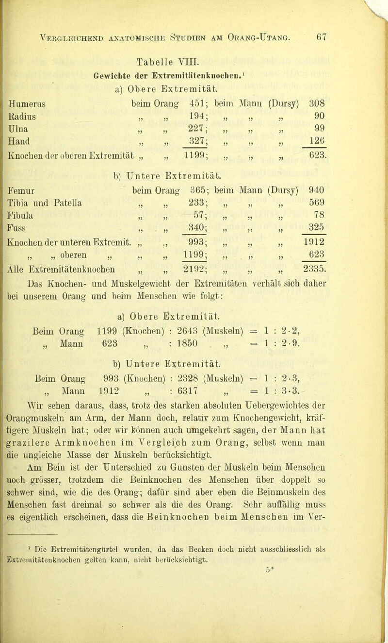 Tabelle VIII. Gewichte der Extremitäteiiknoclieu.' a) Obere Extremität. Humerus beim Orang 451; beim Mann (Dursy) 308 Radius 194; 77 7? 7? 90 Ulna ?? 7? 227; 77 77 77 99 Hand V 7? 327; 77 77 77 126 Knochen der oberen Extremität „ „ 1199; 7? 7? 77 623. b) Untere Extremität. Femur beim Orang 365; beim Mann (Dursy) 940 Tibia und Patella 7? 77 233; 77 77 77 569 I'ibula 77 77 57; 77 77 77 78 Fuss 77 77 340; 77 7? 77 325 Knochen der unteren Extremit. „ „ 993; 77 77 7? 1912 „ „ oberen 7? 77 77 1199; 77 77 77 623 Alle Extremitätenlmochen „ „ 2192; „ „ „ 2335. Das Knochen- und Muskelgewicht der Extremitäten verhält sich daher bei unserem Orang und beim Menschen wie folgt: a) Obere Extremität. Beim Orang 1199 (Knochen) : 2643 (Muskeln) = 1:2-2, „ Mann 623 „ : 1850 „ =1:2-9. b) Untere Extremität. Beim Orang 993 (Knochen) : 2328 (Muskeln) = 1 : 2-3, „ Mann 1912 „ : 6317 „ = 1 : 3-3. Wir sehen daraus, dass, trotz des starken absoluten Uebergewichtes der Orangmuskeln am Arm, der Mann doch, relativ zum Knochengewicht, kräf- tigere Muskeln hat; oder wir können auch umgekehrt sagen, der Mann hat grazilere Armknochen im Vergleich zum Orang, selbst wenn man die ungleiche Masse der Muskeln berücksichtigt. Am Bein ist der Unterschied zu Gunsten der Muskeln beim Menschen noch grösser, trotzdem die Beinknochen des Menschen über doppelt so schwer sind, wie die des Orang; dafür sind aber eben die Beinmuskeln des Menschen fast dreimal so schwer als die des Orang. Sehr aufiallig muss es eigentlich erscheinen, dass die Beinknochen beim Menschen im Ver- ^ Die Extreraitätengürtel wurden, da das Becken doch nicht ausschliesslich als Extremitätenknochen gelten kann, nicht berücksichtigt.