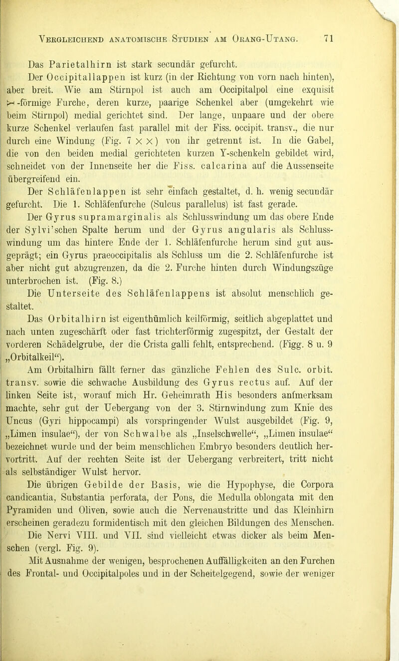 Das Parietalhirn ist stark secundär gefurcht. Der Occipitaliappen ist kurz (in der Richtung von vorn nach hinten), aber breit. Wie am Stirnpol ist auch am Occipitalpol eine exquisit H-förmige Furche, deren kurze, paarige Schenkel aber (umgekehrt wie heim Stirnpol) medial gerichtet sind. Der lange, uupaare und der obere kurze Schenkel verlaufen fast parallel mit der Fiss. occipit. transv., die nur durch eine Windung (Fig. 7 x X) von ihr getrennt ist. In die Gabel, die von den beiden medial gerichteten kurzen Y-schenkeln gebildet wird, schneidet von der Innenseite her die Fiss. calcarina auf die Aussenseite übergreifend ein. Der Schläfenlappen ist sehr einfach gestaltet, d. h. wenig secundär gefurcht. Die 1. Schläfenfurche (Sulcus paralleliis) ist fast gerade. Der Gyriis supramarginalis als Schlusswindung um das obere Ende der Sylvi’schen Spalte herum und der Gyrus angularis als Schluss- windung um das hintere Ende der 1. Schläfenfurche herum sind gut aus- geprägt; ein Gyrus praeoccipitalis als Schluss um die 2. Schläfenfurche ist aber nicht gut abzugrenzen, da die 2. Furche hinten durch Windungszüge unterbrochen ist. (Fig. 8.) Die Unterseite des Schläfenlappens ist absolut menschlich ge- staltet. Das Orbitalhirn ist eigenthümlich keilförmig, seitlich abgeplattet und nach unten zugeschärft oder fast trichterförmig zugespitzt, der Gestalt der vorderen Schädelgrube, der die Crista galli fehlt, entsprechend. (Figg. 8 u. 9 „Orbitalkeil“). Am Orbitalhirn fällt ferner das gänzliche Fehlen des Siilc. orbit. transv. sowie die schwache Ausbildung des Gyrus rectus auf. Auf der linken Seite ist, worauf mich Hr. Geheinirath His besonders aufmerksam machte, sehr gut der Uebergang von der 3. Stirnwindung zum Knie des Uncus (Gyri hippocampi) als vorspringender Wulst ausgebildet (Fig. 9, „Limen insulae“), der von Schwalbe als „Inselschwelle“, „Limen insulae“ bezeichnet wurde und der beim menschlichen Embryo besonders deutlich her- vortritt. Auf der rechten Seite ist der Uebergang verbreitert, tritt nicht als selbständiger Wulst hervor. Die übrigen Gebilde der Basis, wie die Hypophyse, die Corpora candicantia, Substantia perforata, der Pons, die Medulla oblongata mit den Pyramiden und Oliven, sowie auch die Nervenaustritte und das Kleinhirn erscheinen geradezu formidentisch mit den gleichen Bildungen des Menschen. Die Nervi VIII. und VII. sind vielleicht etwas dicker als beim Men- schen (vergl. Fig. 9). Mit Ausnahme der wenigen, besprochenen Auffälligkeiten an den Furchen des Frontal- und Occipitalpoles und in der Scheitelgegend, sowie der weniger