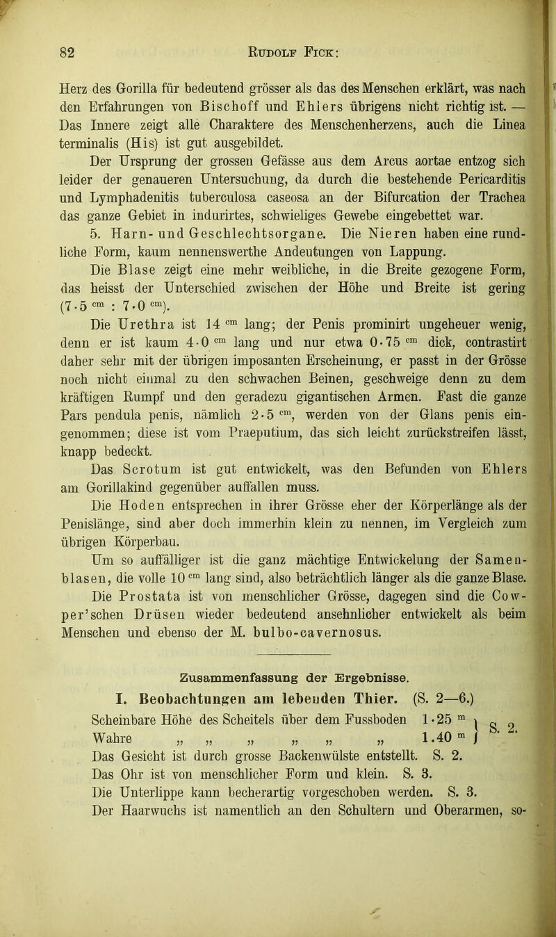 Herz des Gorilla für bedeutend grösser als das des Menschen erklärt, was nach den Erfahrungen von Bischoff und Ehlers übrigens nicht richtig ist.— Das Innere zeigt alle Charaktere des Menschenherzens, auch die Linea terminalis (His) ist gut ausgebildet. Der Ursprung der grossen Gefässe aus dem Arcus aortae entzog sich' leider der genaueren Untersuchung, da durch die bestehende Pericarditis und Lymphadenitis tuberculosa caseosa an der Bifurcation der Trachea das ganze Gebiet in indurirtes, schwieliges Gewebe eingebettet war. 5. Harn-und Geschlechtsorgane. Die Nieren haben eine rund- liche Form, kaum nennenswerthe Andeutungen von Lappung. Die Blase zeigt eine mehr weibliche, in die Breite gezogene Form, das heisst der Unterschied zwischen der Höhe und Breite ist gering (7-5 : 7-0 0“). Die Urethra ist 14 ““ lang; der Penis prominirt ungeheuer wenig, denn er ist kaum 4 • 0 lang und nur etwa 0 • 7 5 dick, contrastirt daher sehr mit der übrigen imposanten Erscheinung, er passt in der Grösse noch nicht einmal zu den schwachen Beinen, geschweige denn zu dem kräftigen Rumpf und den geradezu gigantischen Armen. Fast die ganze Pars pendula penis, nämlich 2-5 werden von der Glans penis ein- genommen; diese ist vom Praeputium, das sich leicht zurückstreifen lässt, knapp bedeckt. Das Sero tum ist gut entwickelt, was den Befunden von Ehlers am Gorillakind gegenüber auffallen muss. Die Hoden entsprechen in ihrer Grösse eher der Körperlänge als der Penislänge, sind aber doch immerhin klein zu nennen, im Vergleich zum übrigen Körperbau. ' Um so auffälliger ist die ganz mächtige Entwickelung der Samen- blasen, die volle lang sind, also beträchtlich länger als die ganze Blase. Die Prostata ist von menschlicher Grösse, dagegen sind die Cow- per’sehen Drüsen wieder bedeutend ansehnlicher entwickelt als beim Menschen und ebenso der M. bulbo-cavernosus. Ul Zusammenfassung der Ergebnisse. I. Beobachtungen am lebenden Thier. (S. 2—6.) Scheinbare Höhe des Scheitels über dem Fussboden 1 • 25 “ ^ „ Wahre „ „ „ „ „ „ 1.40 “ j Das Gesicht ist durch grosse Backenwülste entstellt. S. 2. Das Ohr ist von menschlicher Form und klein. S. 3. Die Unterlippe kann becherartig vorgeschoben werden. S. 3. Der Haarwuchs ist namentlich an den Schultern und Oberarmen, so-