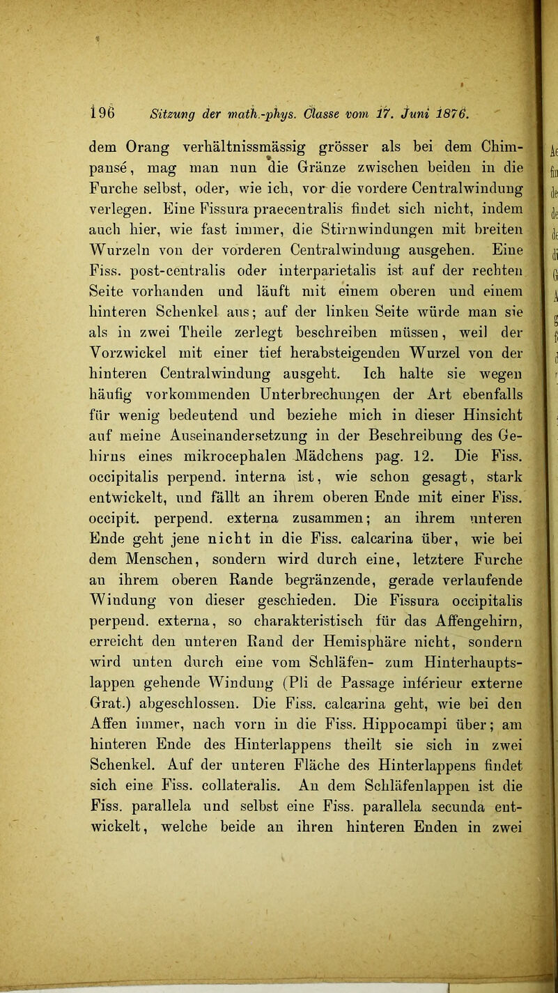 dem Orang verhältnissmässig grösser als bei dem Cbim- pause, mag man nun die Gränze zwischen beiden in die Furche selbst, oder, wie ich, vor die vordere Centralwindung verlegen. Eine Fissura praecentralis findet sich nicht, indem auch hier, wie fast immer, die Stirnwindungen mit breiten Wurzeln von der vorderen Central windung ausgehen. Eine Fiss. post-centralis oder interparietalis ist auf der rechten Seite vorhanden und läuft mit einem oberen und einem hinteren Schenkel aus; auf der linken Seite würde man sie als in zwei Theile zerlegt beschreiben müssen, weil der Vorzwickel mit einer tief hei’absteigenden Wurzel von der hinteren Centralwindung ausgeht. Ich halte sie wegen häufig vorkoinmenden Unterbrechungen der xlrt ebenfalls für wenig bedeutend und beziehe mich in dieser Hinsicht auf meine Auseinandersetzung in der Beschreibung des Ge- hirns eines mikrocephalen Mädchens pag. 12. Die Fiss. occipitalis perpend. interna ist, wie schon gesagt, stark entwickelt, und fällt an ihrem oberen Ende mit einer Fiss. occipit. perpend. externa zusammen; an ihrem unteren Ende geht jene nicht in die Fiss. calcarina über, wie bei dem Menschen, sondern wird durch eine, letztere Furche an ihrem oberen Rande begränzende, gerade verlaufende Windung von dieser geschieden. Die Fissura occipitalis perpend. externa, so charakteristisch für das Affengehirn, erreicht den unteren Rand der Hemisphäre nicht, sondern wird unten durch eine vom Schläfen- zum Hinterhaupts- lappen gehende Windung (Pli de Passage inferieur externe Grat.) abgeschlossen. Die Fiss. calcarina geht, wie bei den Affen immer, nach vorn in die Fiss. Hippocampi über; am hinteren Ende des Hinterlappens theilt sie sich in zwei Schenkel. Auf der unteren Fläche des Hinterlappens findet sich eine Fiss. collateralis. An dem Schläfenlappen ist die Fiss. parallela und selbst eine Fiss. parallela secuuda ent- wickelt, welche beide an ihren hinteren Enden in zwei