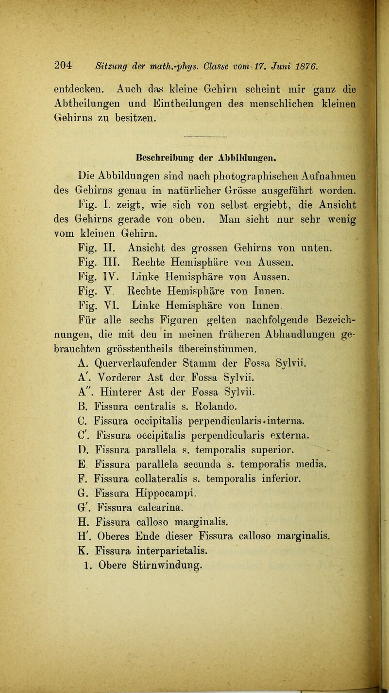 entdecken. Auck das kleine Gehirn scheint mir ganz die Abtheilungen und Eintheilungen des menschlichen kleinen Gehirns zu besitzen. Beschreibung' der Abbildungen. Die Abbildungen sind nach photographischen Aufnahmen des Gehirns genau in natürlicher Grösse ausgeführt worden. l’’ig. I. zeigt, wie sich von selbst ergiebt, die Ansicht des Gehirns gerade von oben. Mau sieht nur sehr wenig vom kleinen Gehirn. Fig. II. Ansicht des grossen Gehirns von unten. Fig. III. Rechte Hemisphäre von Aussen. Fig. IV. Linke Hemisphäre von Aussen. Fig. V, Rechte Hemisphäre von Innen. Fig. VI. Linke Hemisphäre von Innen. Für alle sechs Figuren gelten nachfolgende Bezeich- nungen, die mit den in meinen früheren Abhandlungen ge- brauchten grösstentheils übereinstimmen. A. Querverlaufender Stamm der Fossa Sylvii. A'. Vorderer Ast der Fossa Sylvii. A. . Hinterer Ast der Fossa Sylvii. B. Fissura centralis s. Rolando. C. Fissura occipitalis perpendicularisGuterna. C. Fissura occipitalis perpendicularis externa. D. Fissura parallela s. temporalis superior. E. Fissura parallela secunda s. temporalis media. F. Fissura collateralis s. temporalis inferior. G. Fissura Hippocampi. G^ Fissura calcarina. H. Fissura calloso marginalis. H'. Oberes Ende dieser Fissura calloso marginalis, K. Fissura interparietalis. 1. Obere Stirnwindung.